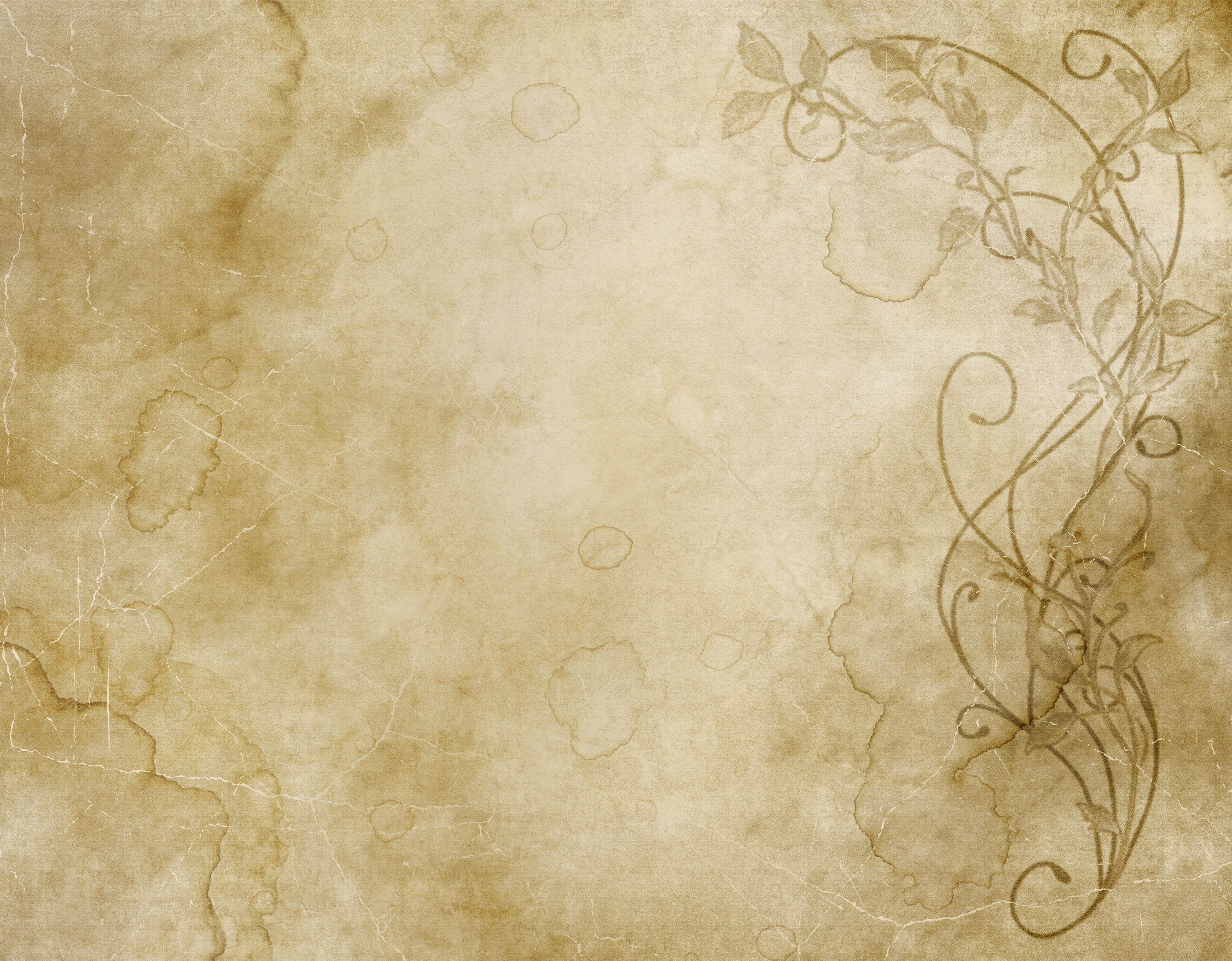 15+ Parchment Textures | FreeCreatives