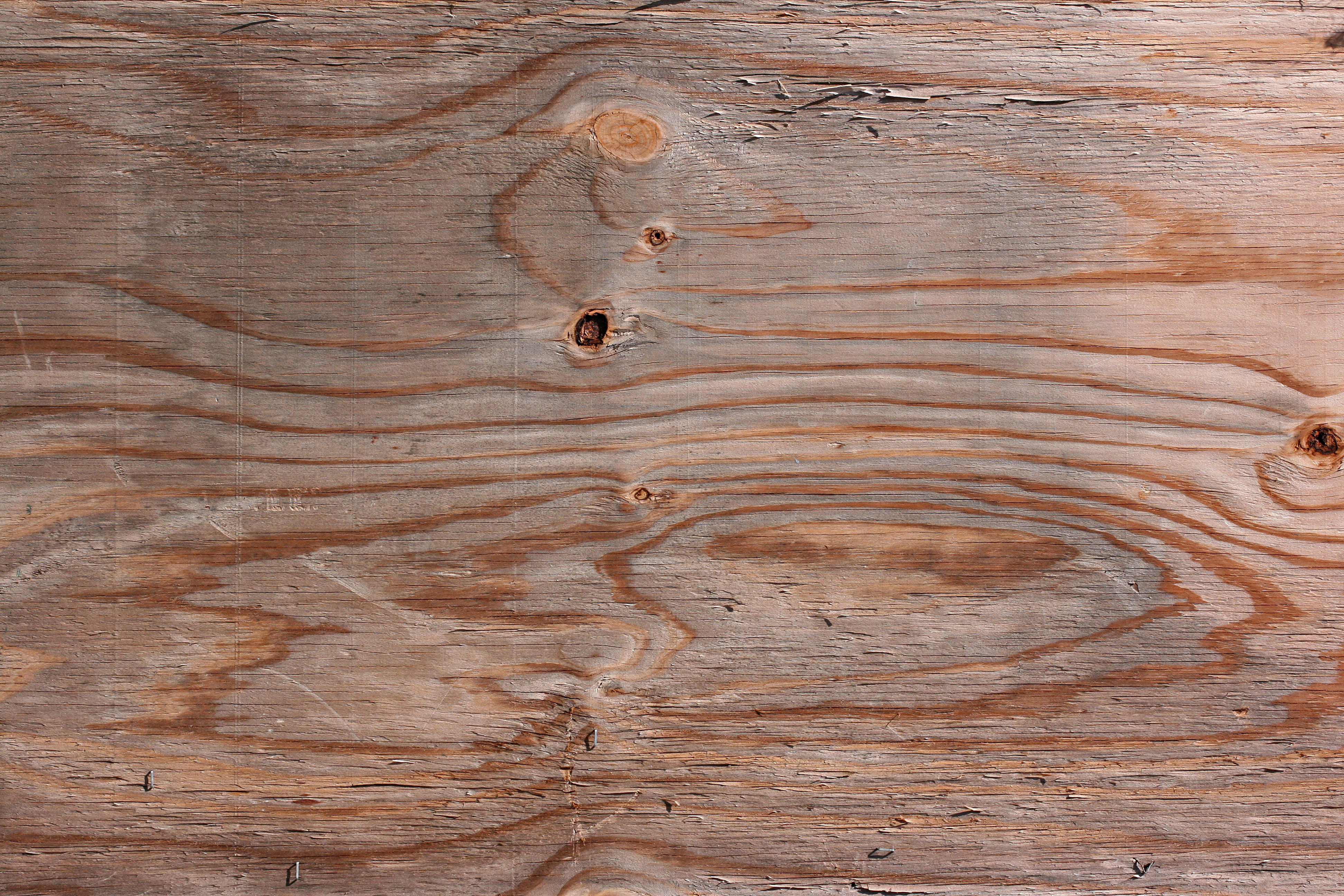 TEXTURE JUNKY » Old Weathered Plywood