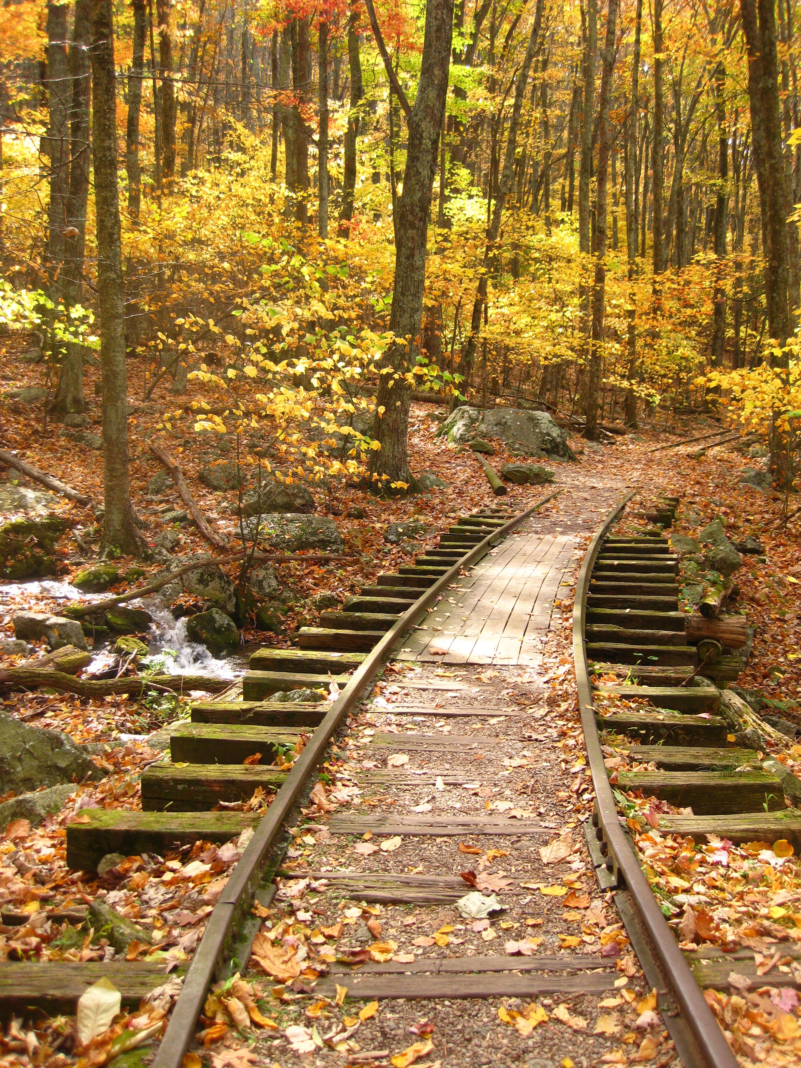 Old train tracks through the mountains. | Virginia in the Fall ...