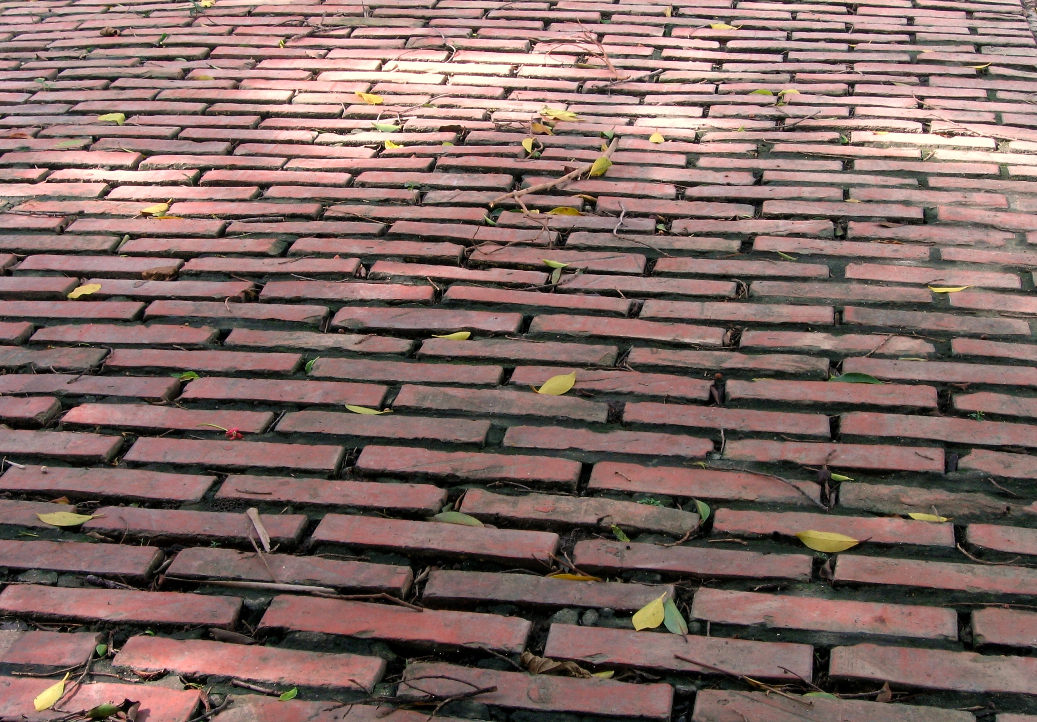 Old red brick road photo