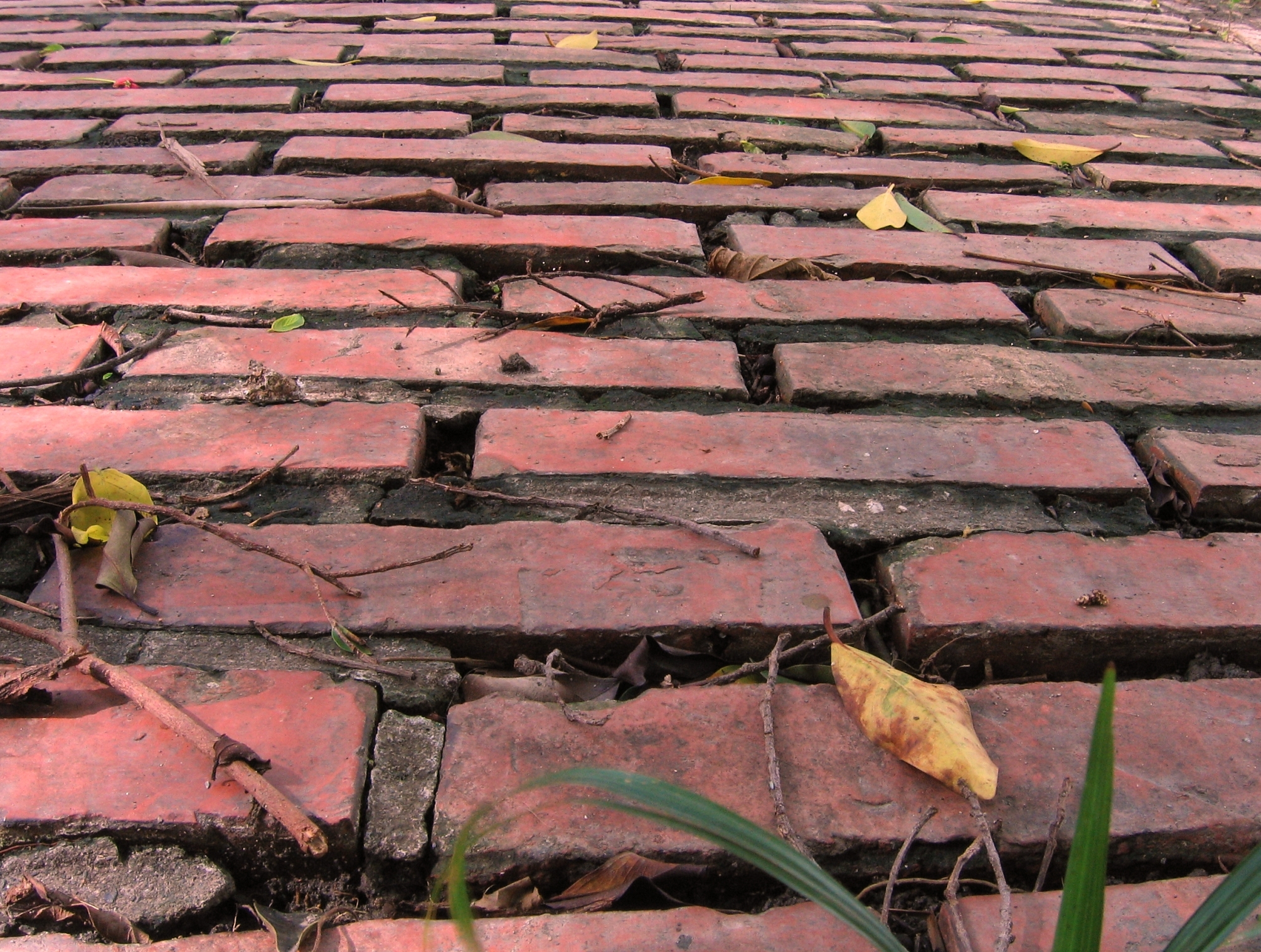Old red brick road photo