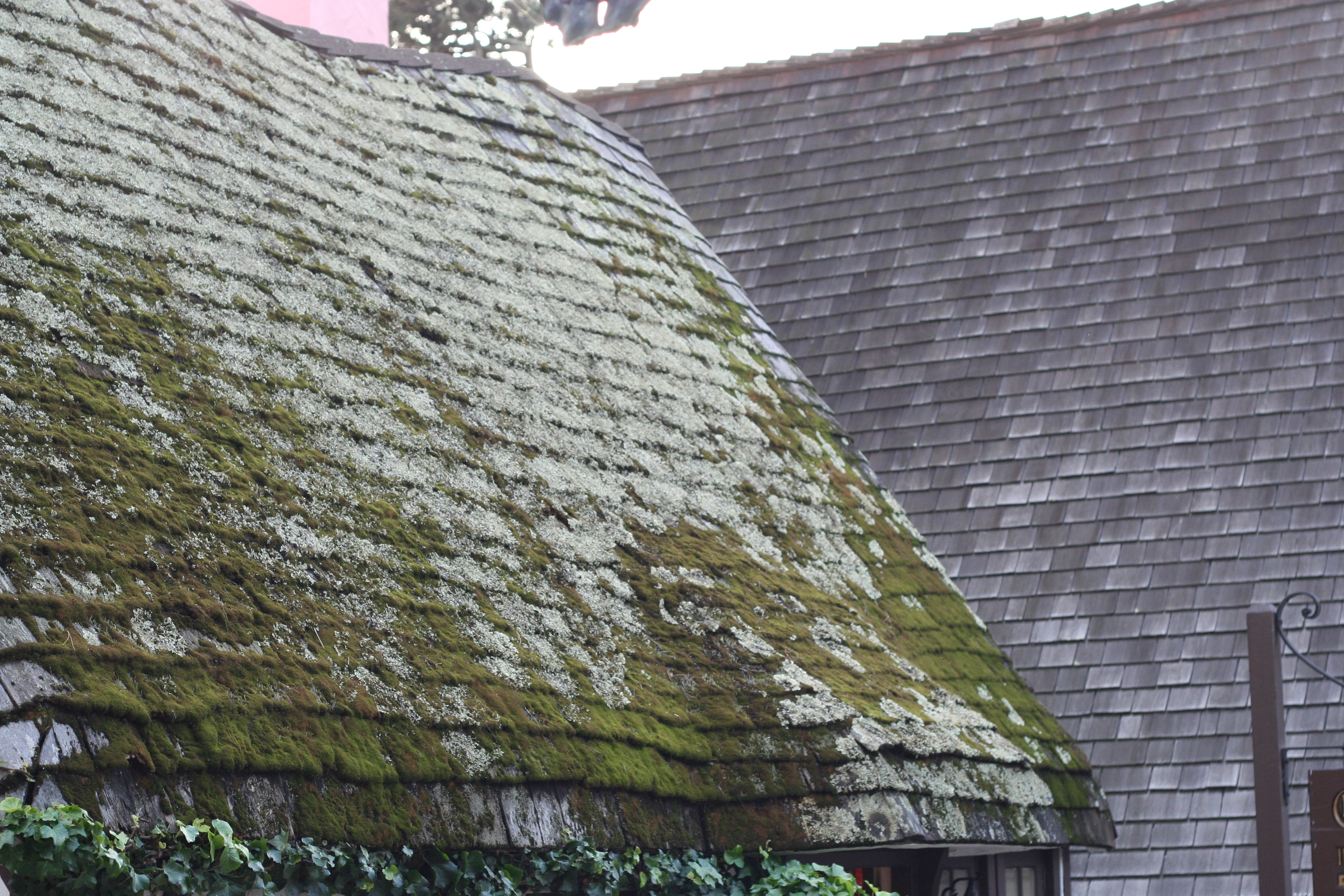 Old roof with moss | Free stock photographs and more for your blogs