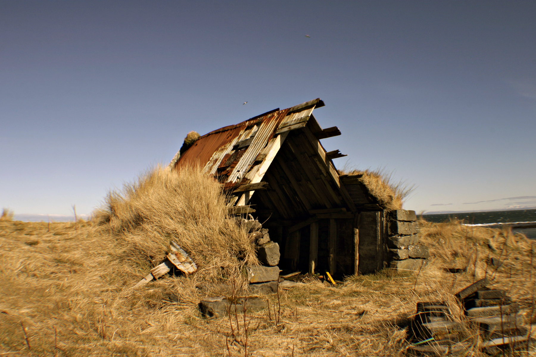 Old shack, Abandoned, Grass, House, Old, HQ Photo