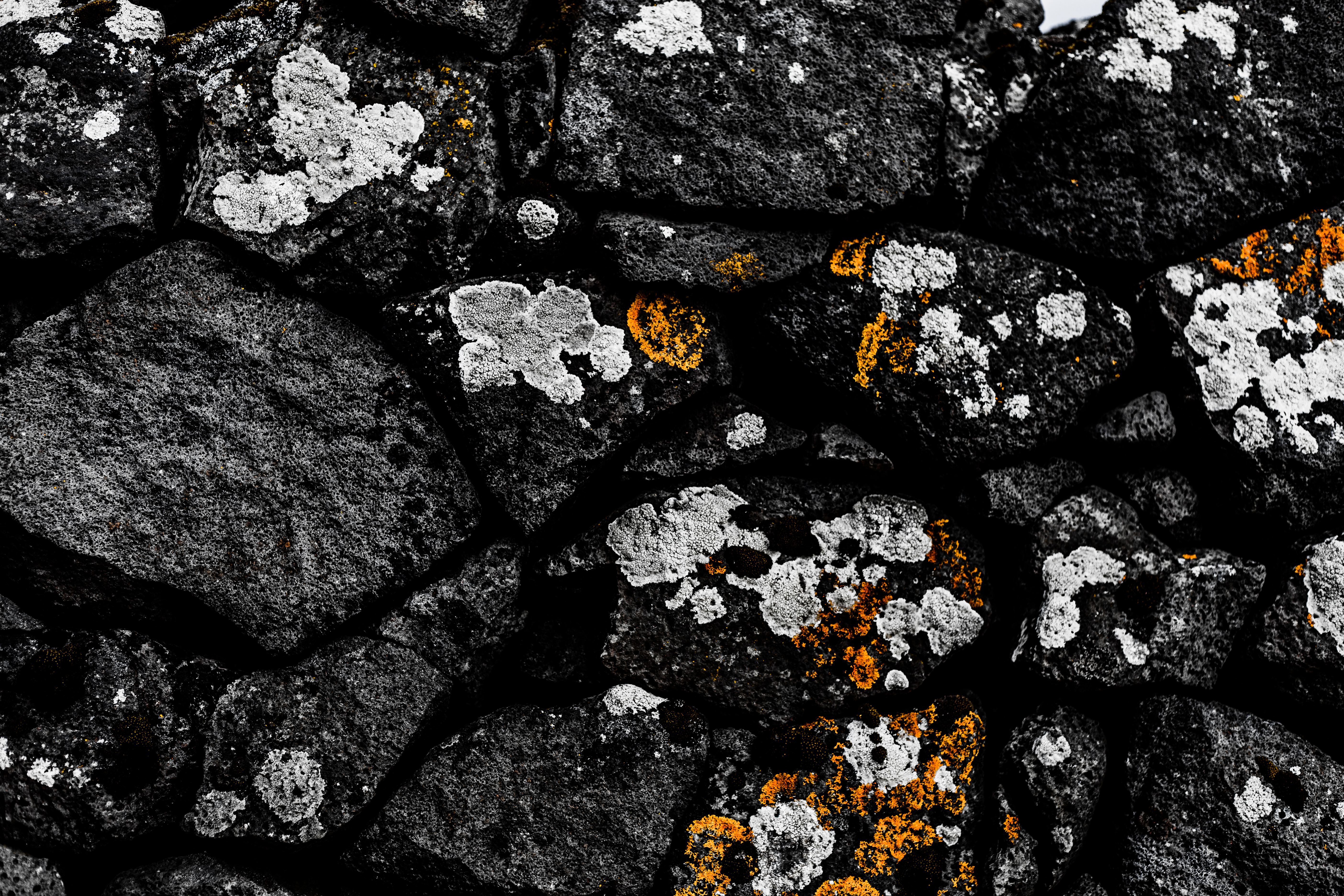 Old stone background with lichen photo