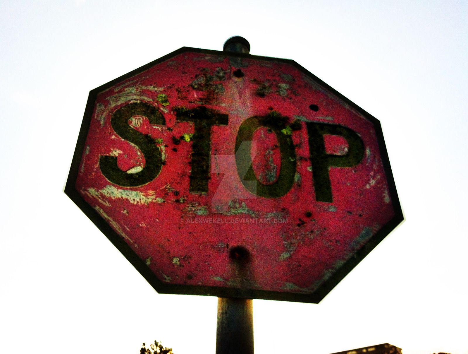 The Old Stop Sign - Project Comatose by AlexWekell on DeviantArt