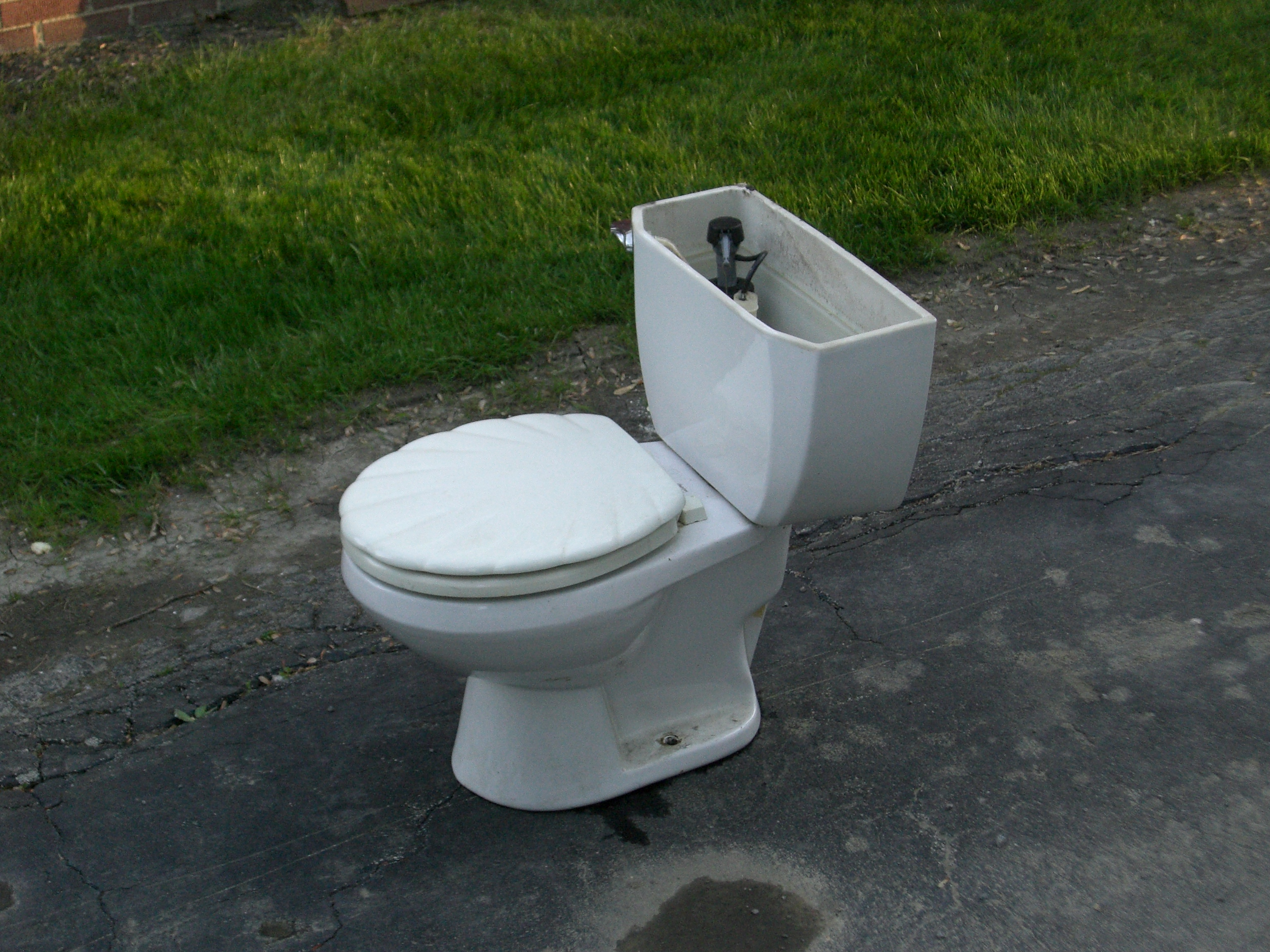 Goodbye, old toilet. We will miss you. at blog.nickserra.com