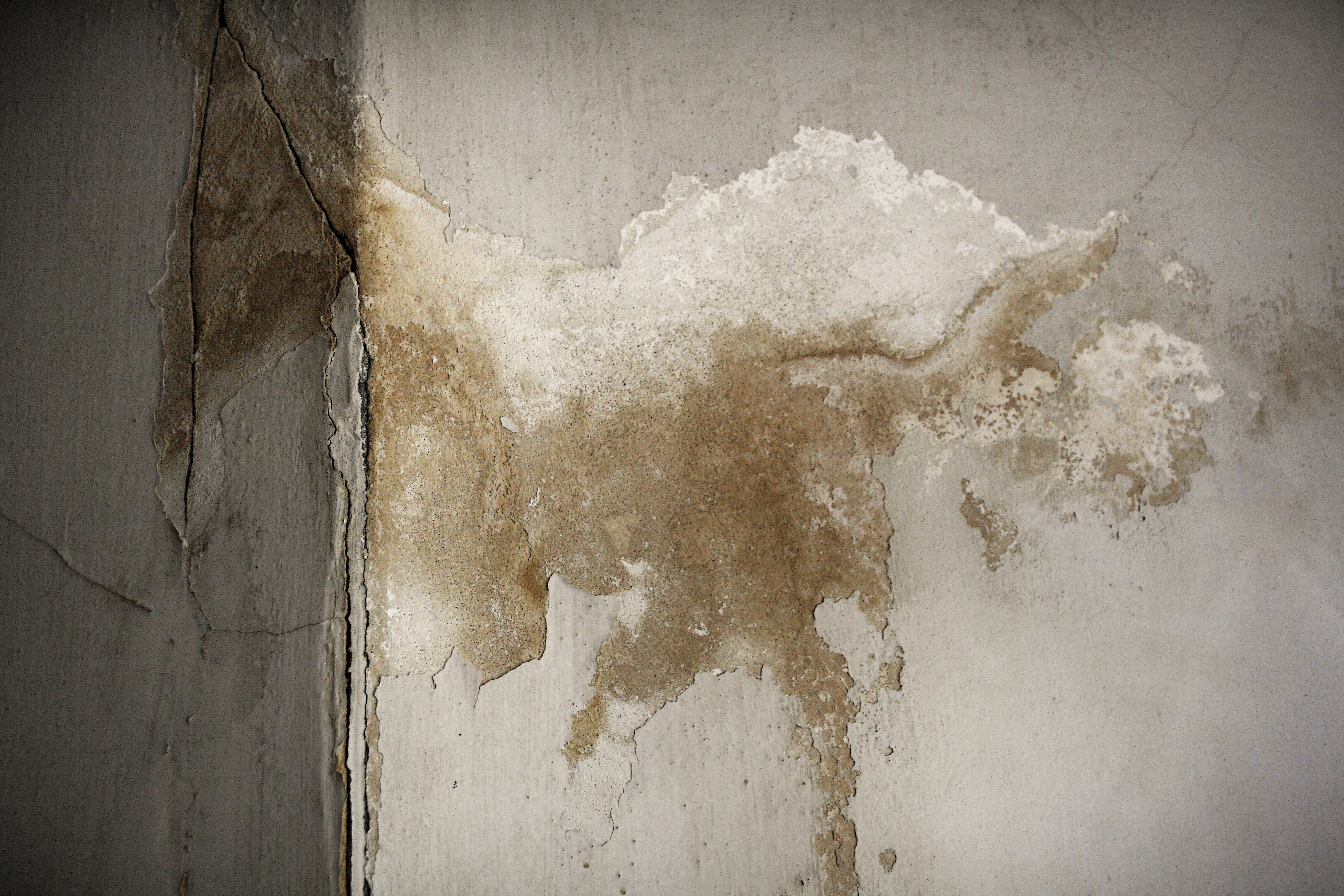 Old wall texture, Cracks, Dirty, House, Humidity, HQ Photo