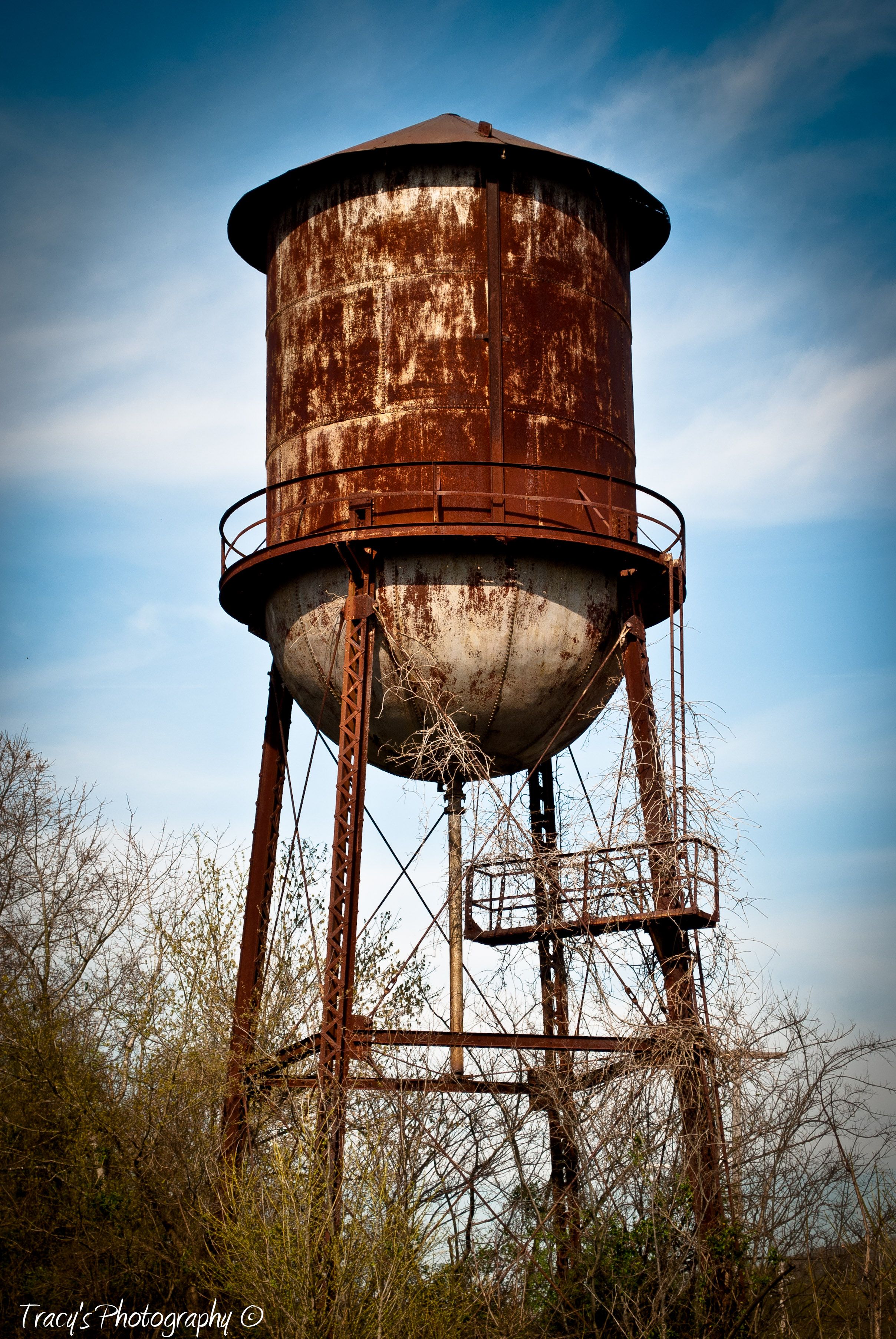 All Seniors must climb to the top of the Old Thompson Water Tower ...