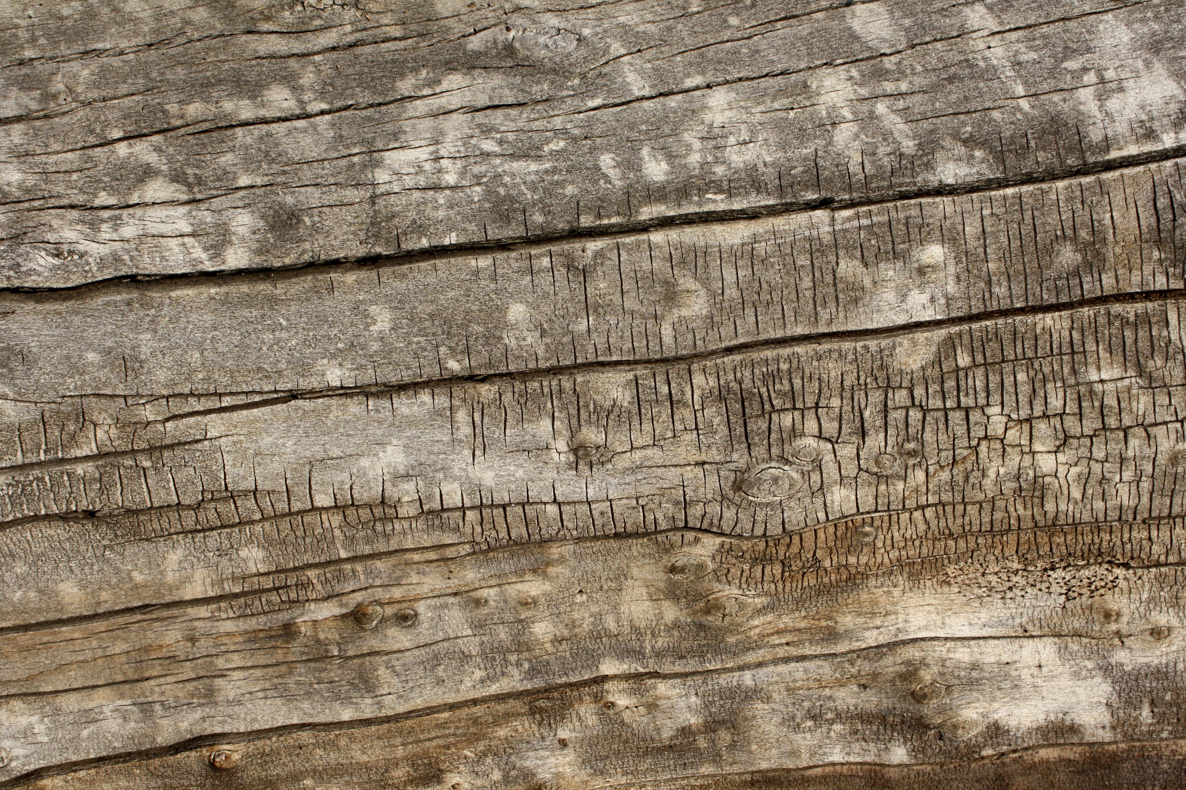 Old Weathered Wood Texture Picture | Free Photograph | Photos Public ...