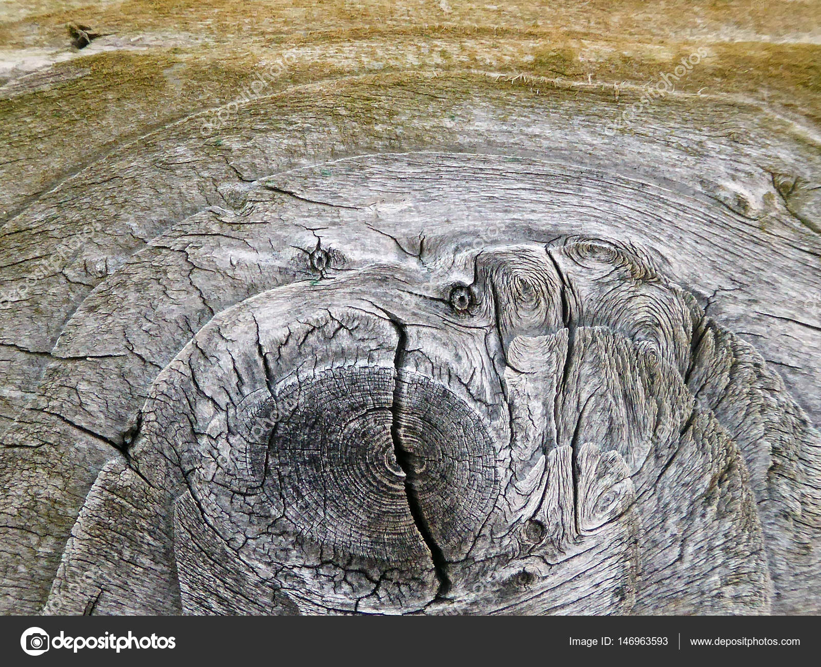 Old weathered wood background — Stock Photo © nehruresen #146963593