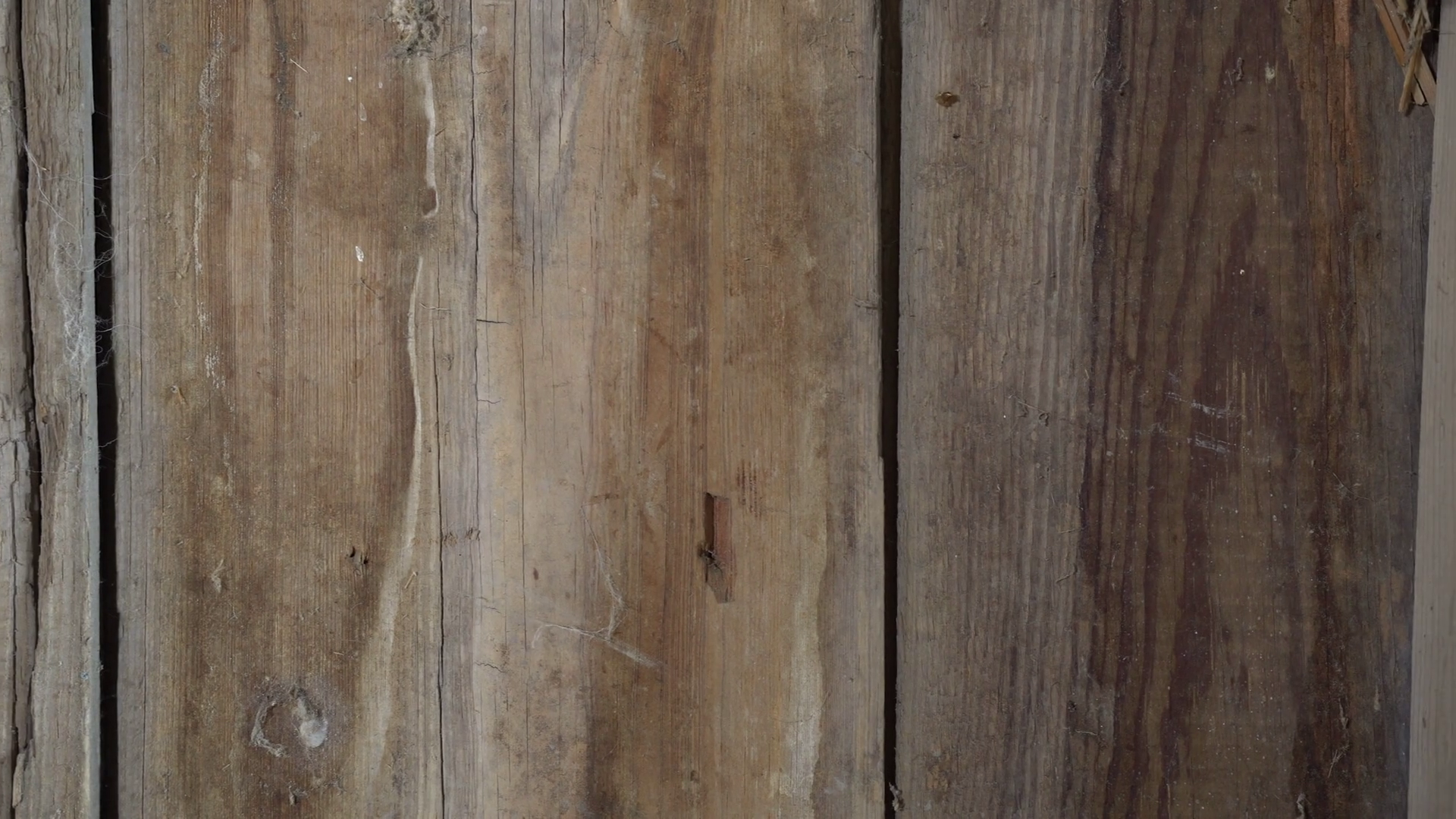 Old weathered wood wall Stock Video Footage - VideoBlocks