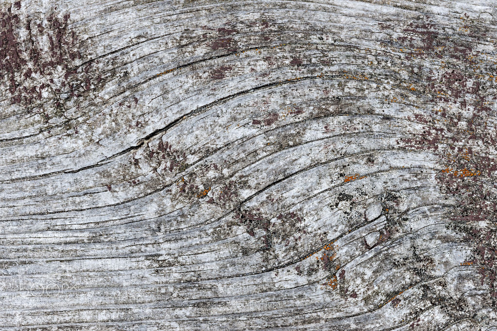 Old weathered wood background - Gray wooden background of weathered ...