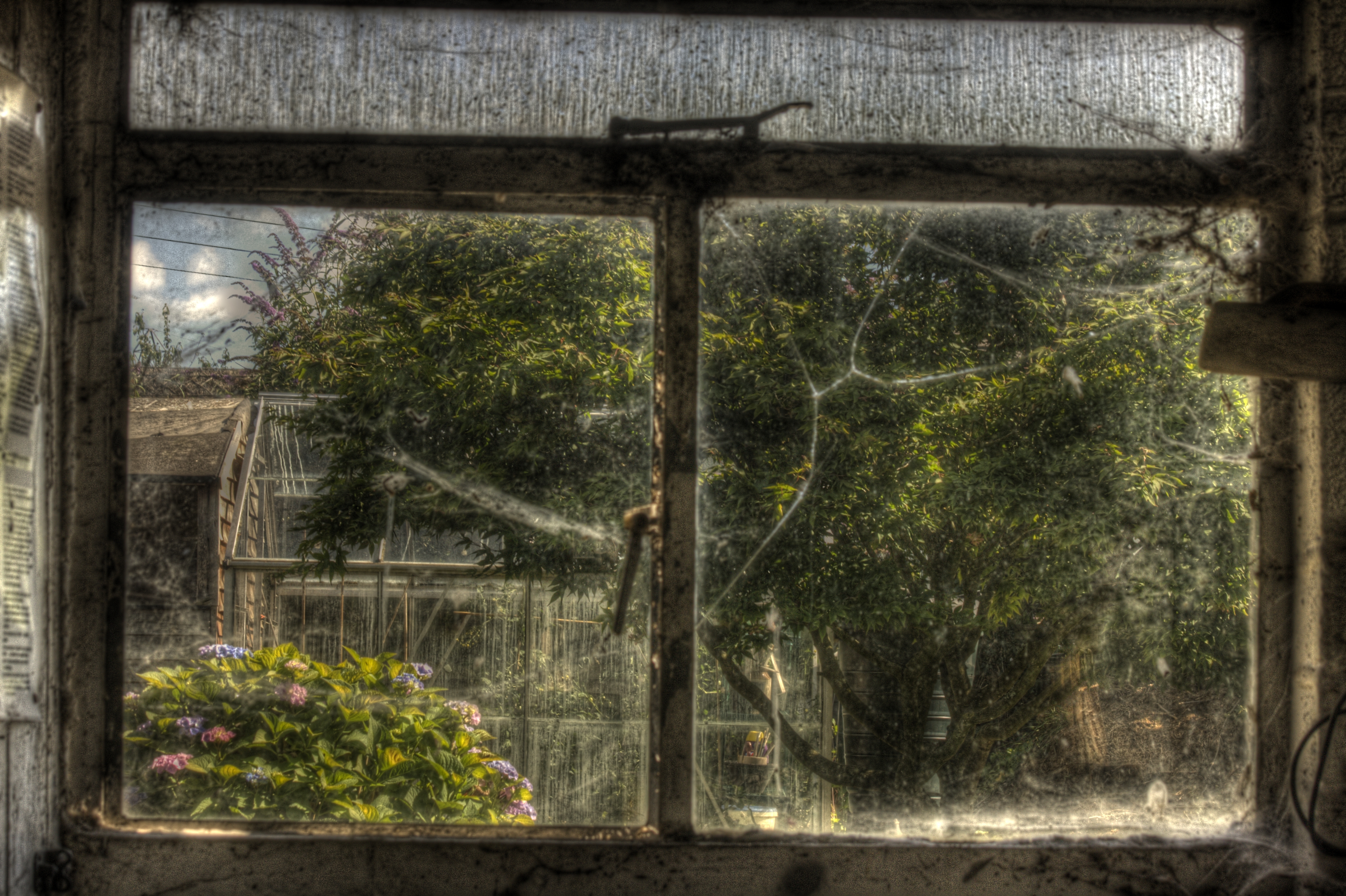 Old Window | HDR creme