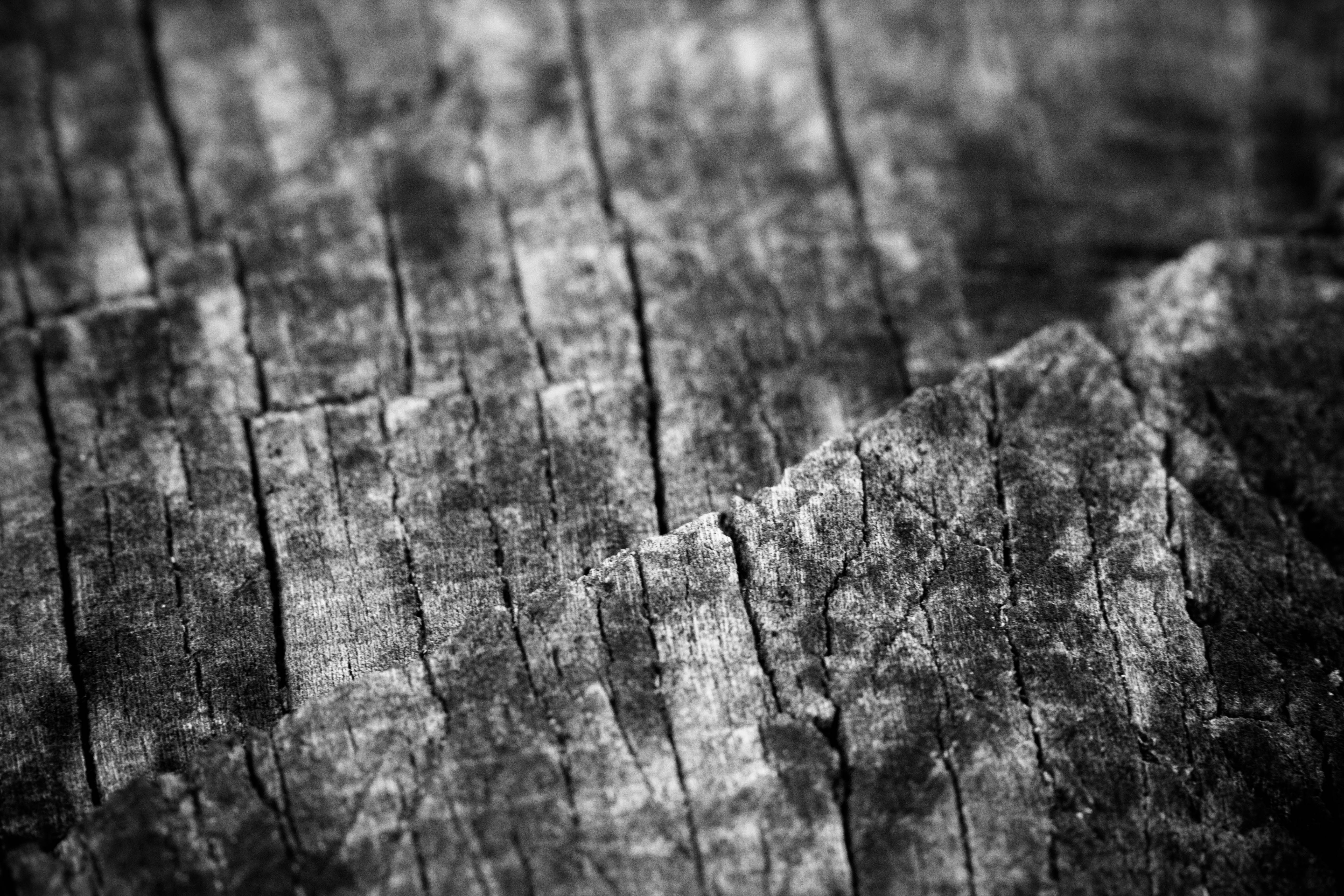 Old wood, Black, Old, Texture, Wood, HQ Photo