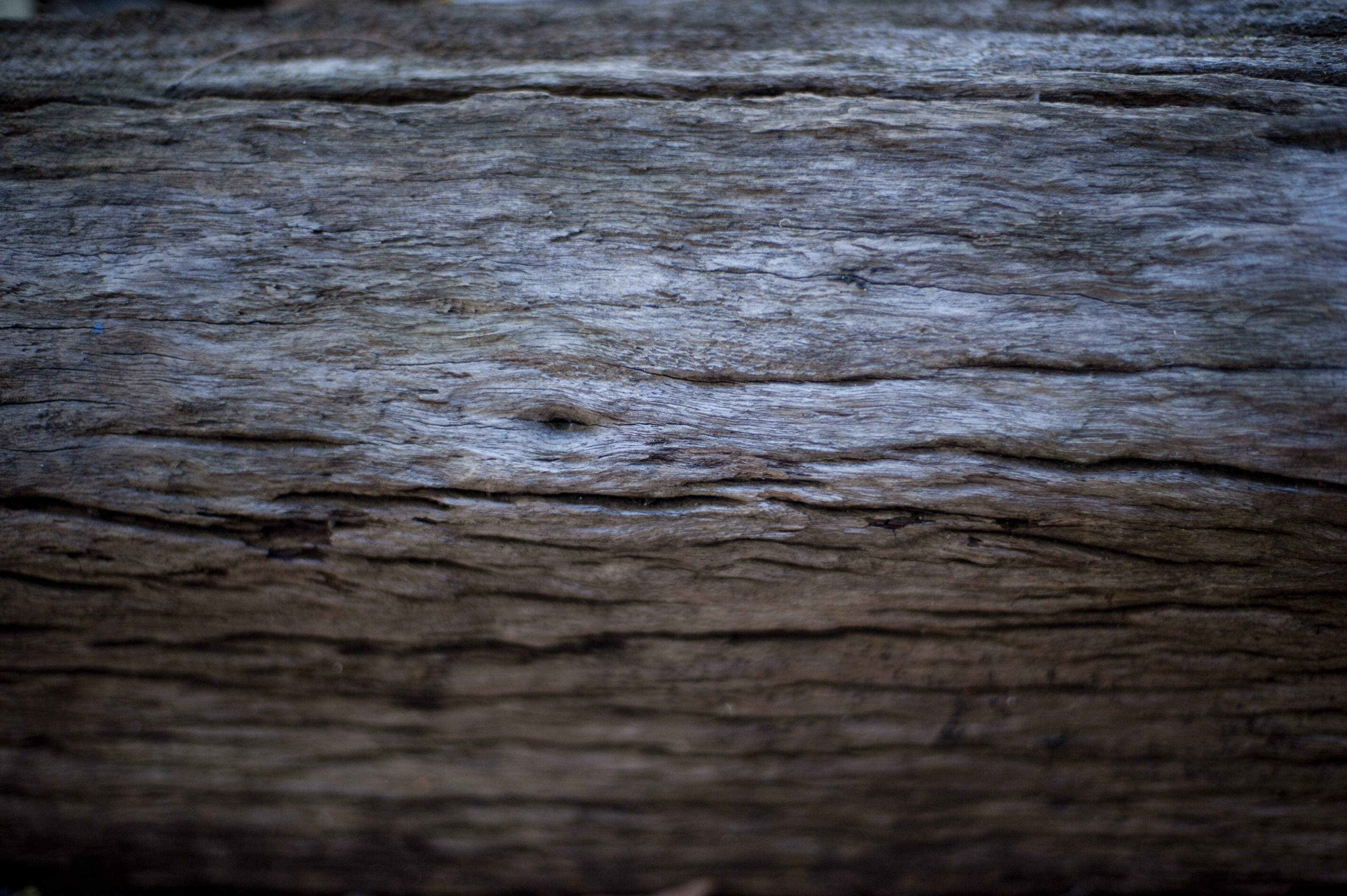 Background of old cracked wood | Free backgrounds and textures ...