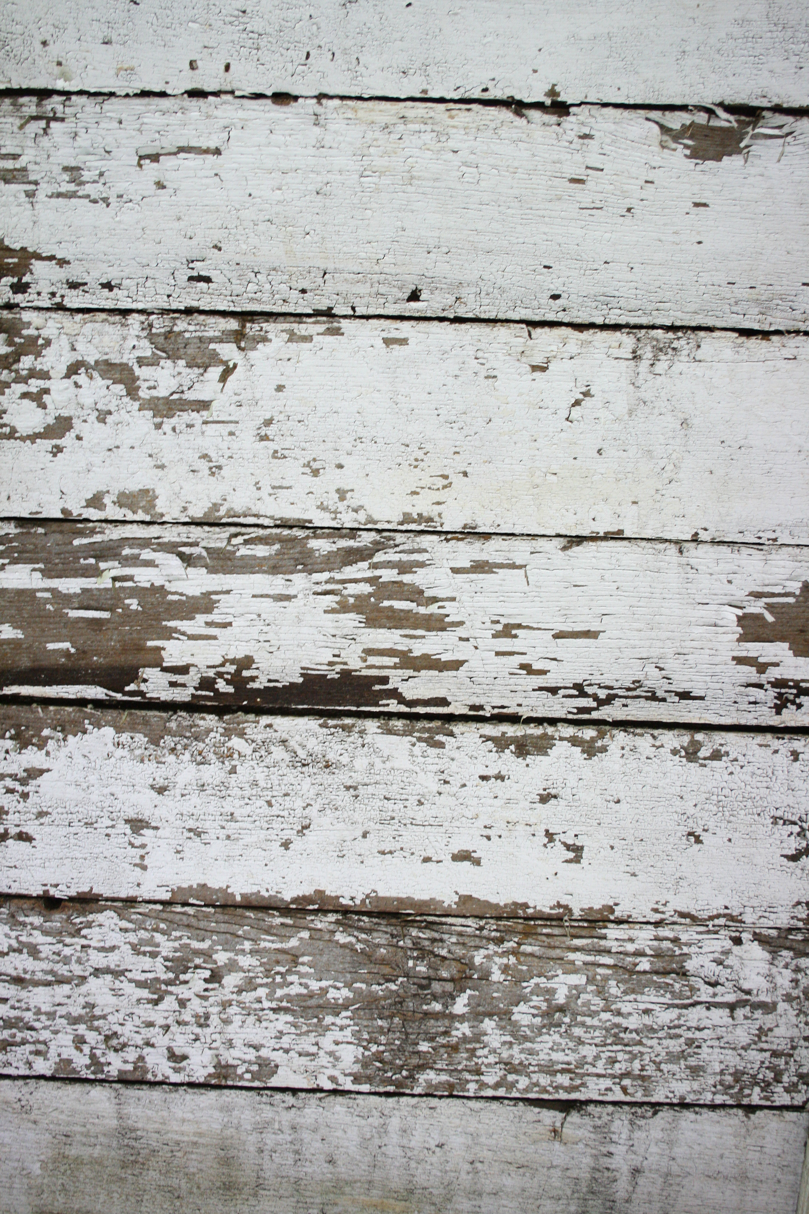 Old wood texture photo