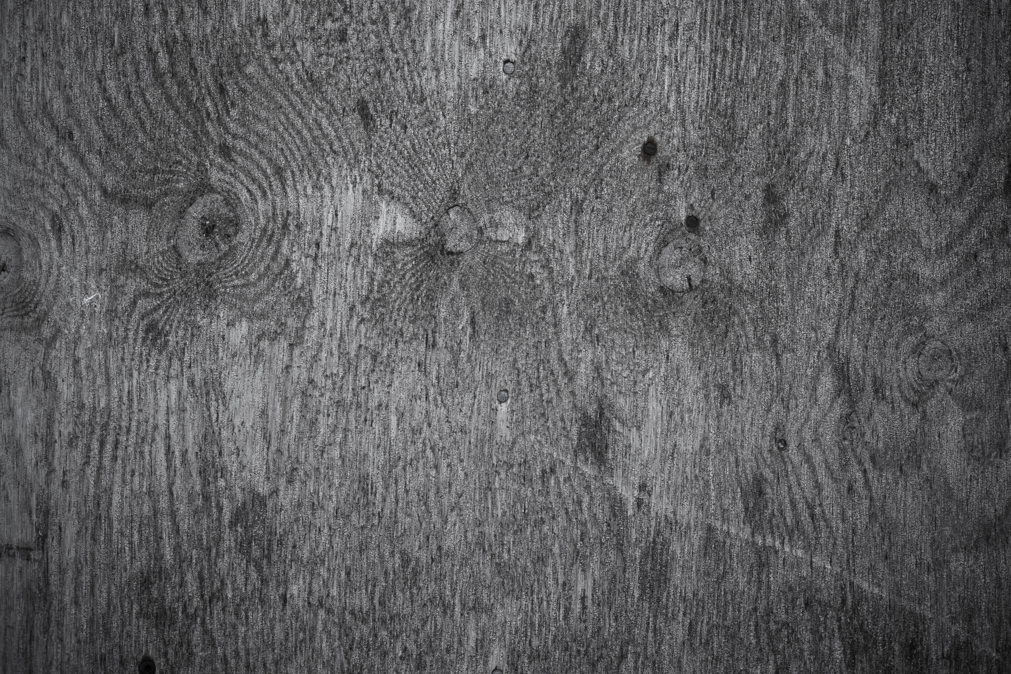 Old Wood Texture, Black, Damaged, Freetexturefrida, Gray, HQ Photo