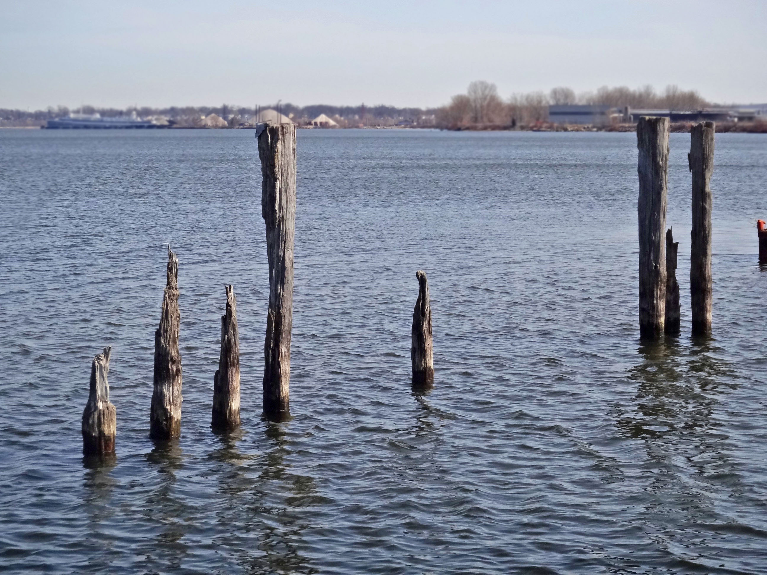 Old wooden dock photo