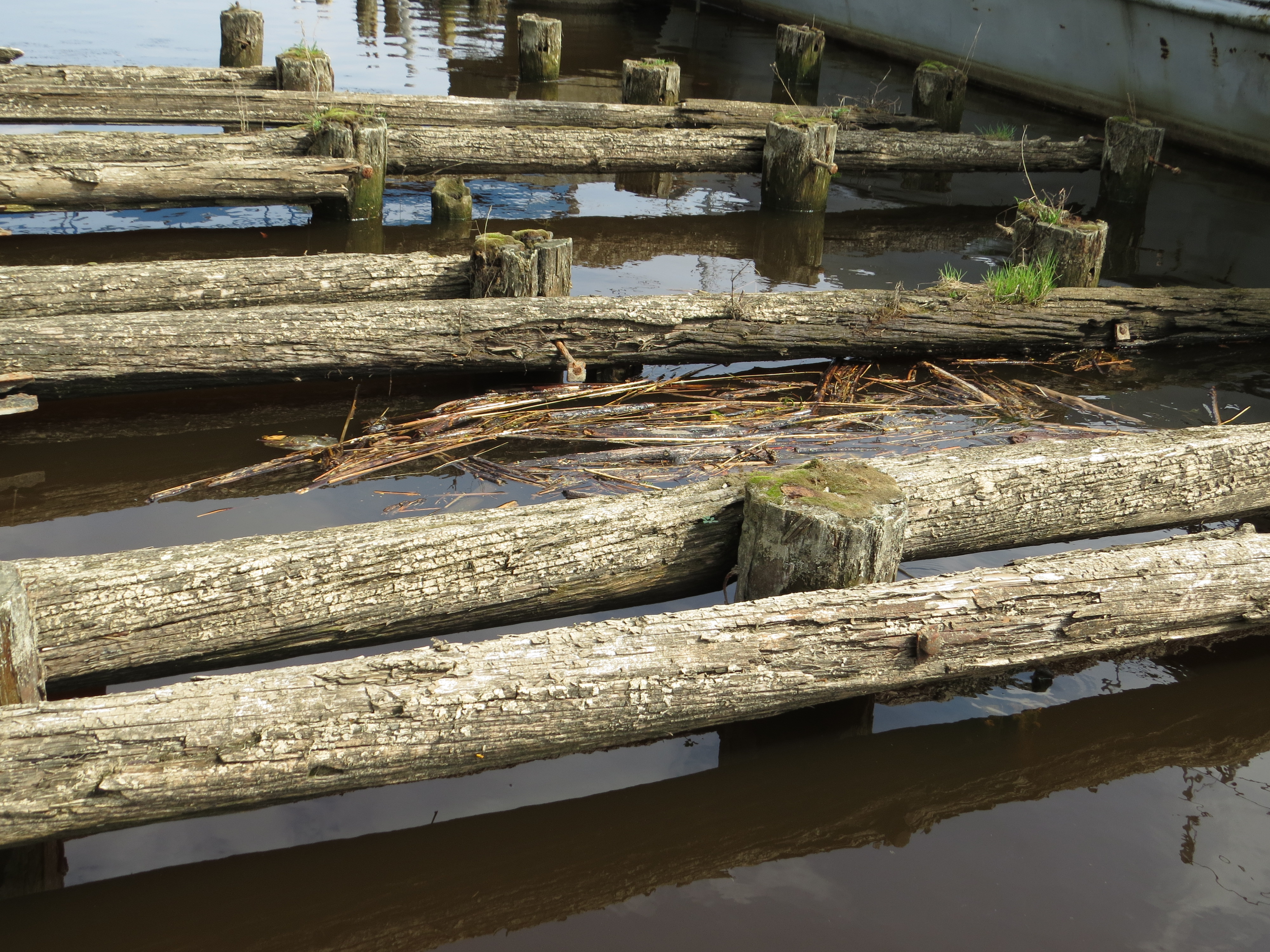 Old wooden dock, Berth, Dock, Harbor, Old, HQ Photo