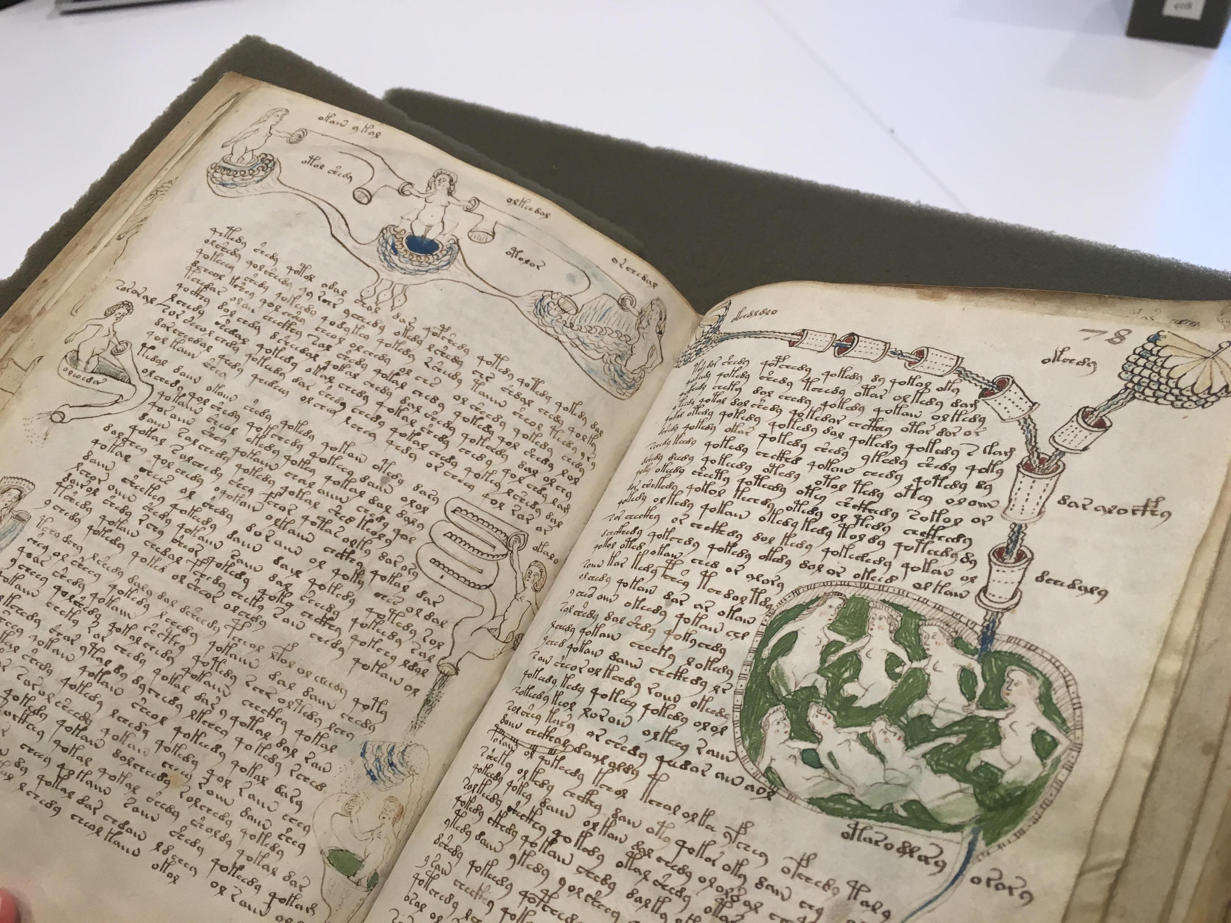 The 600-Year-Old Mystery Of The Voynich Manuscript | WSHU