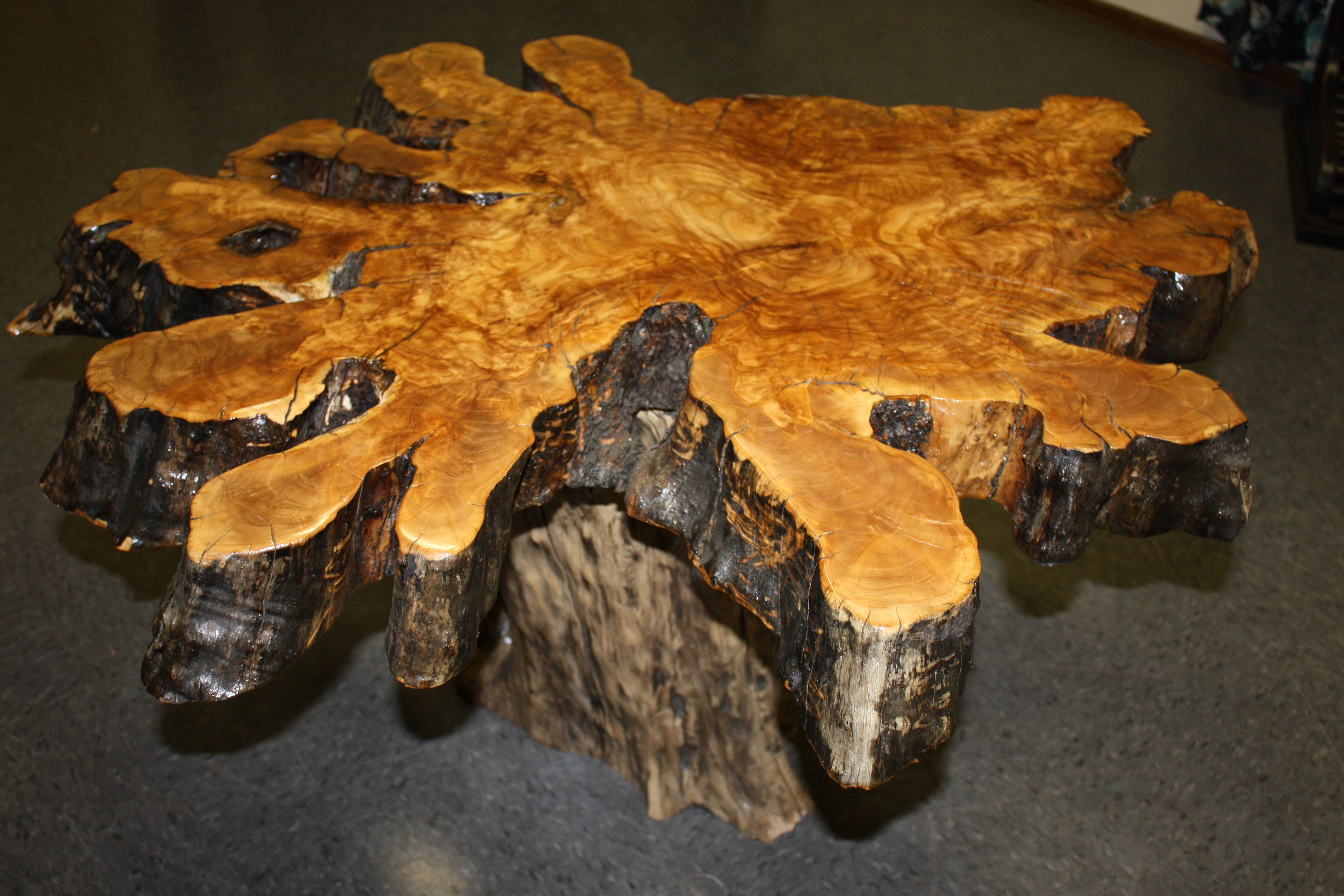 Olive Wood Table, T1200 - Far West Forest