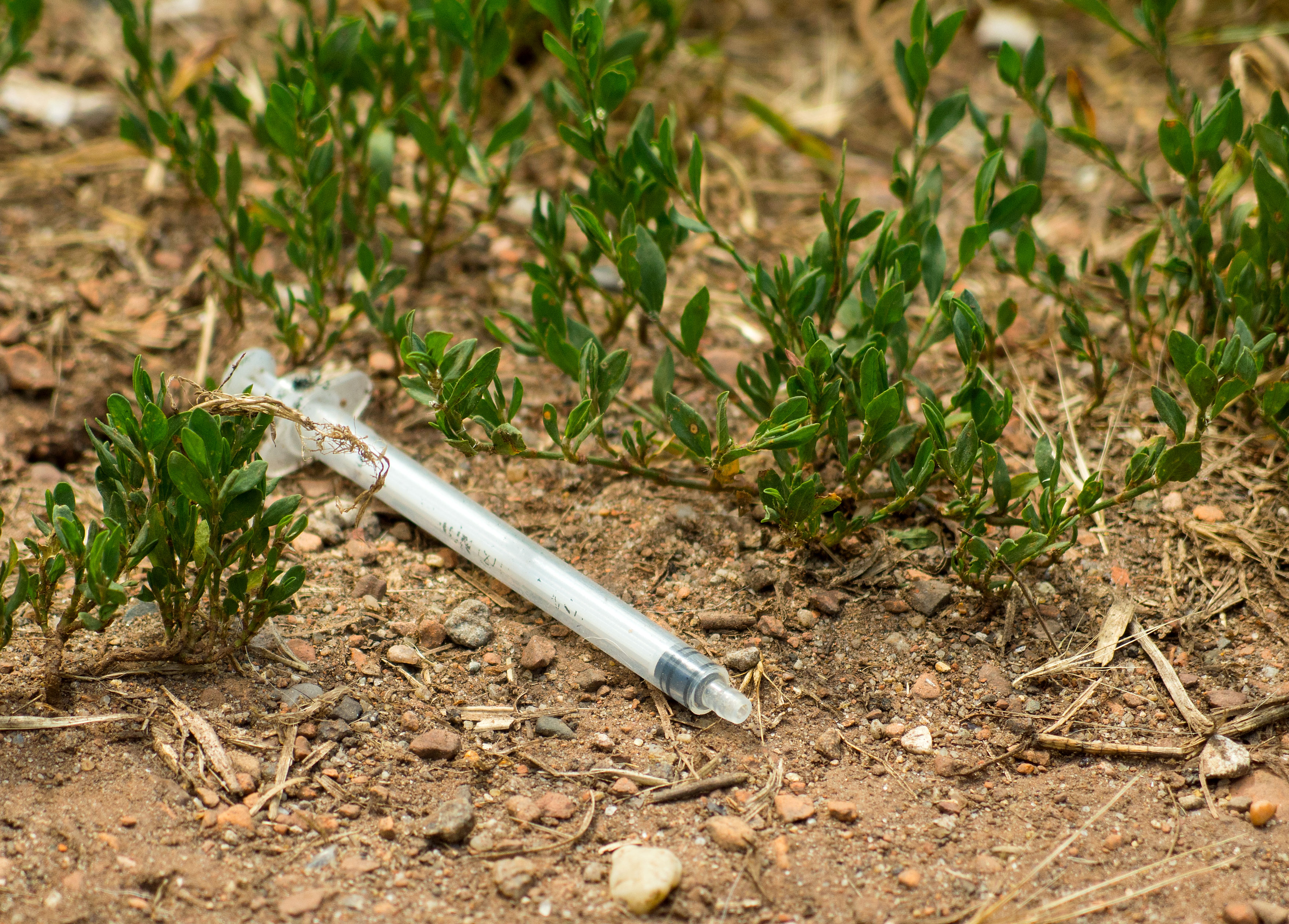 Free Image: Hypodermic Syringe On The Ground | Libreshot Public ...