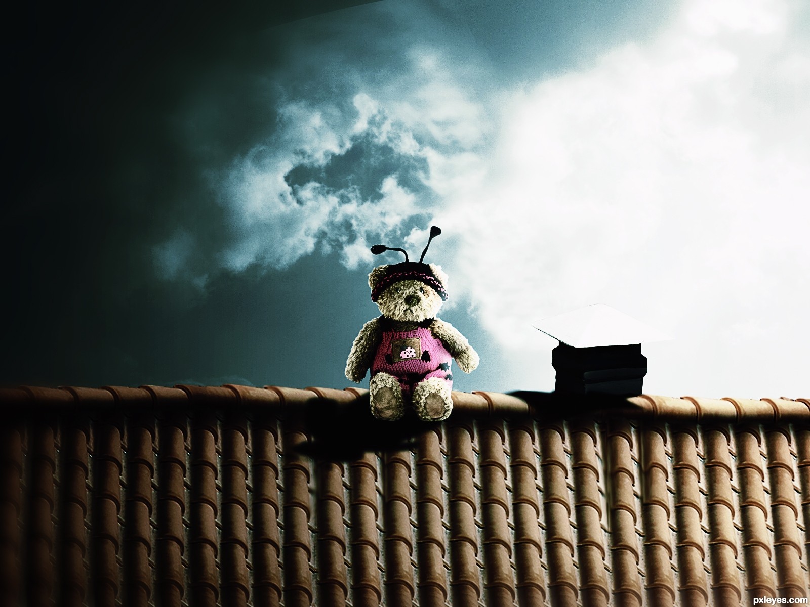 poo on the roof picture, by itsdesign for: rooftop photoshop contest ...