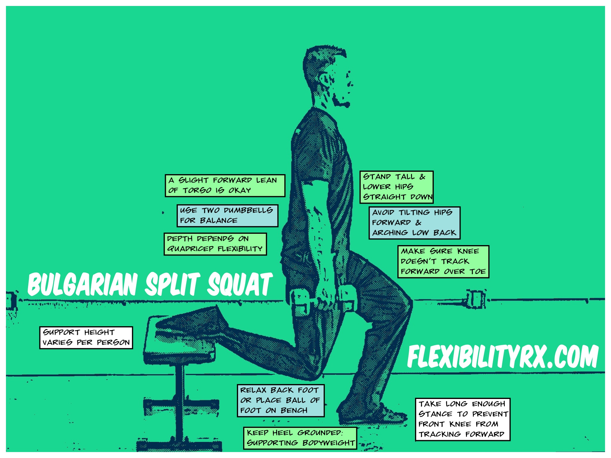 Single Leg Exercises: Bulgarian Split Squat | FlexibilityRx ...
