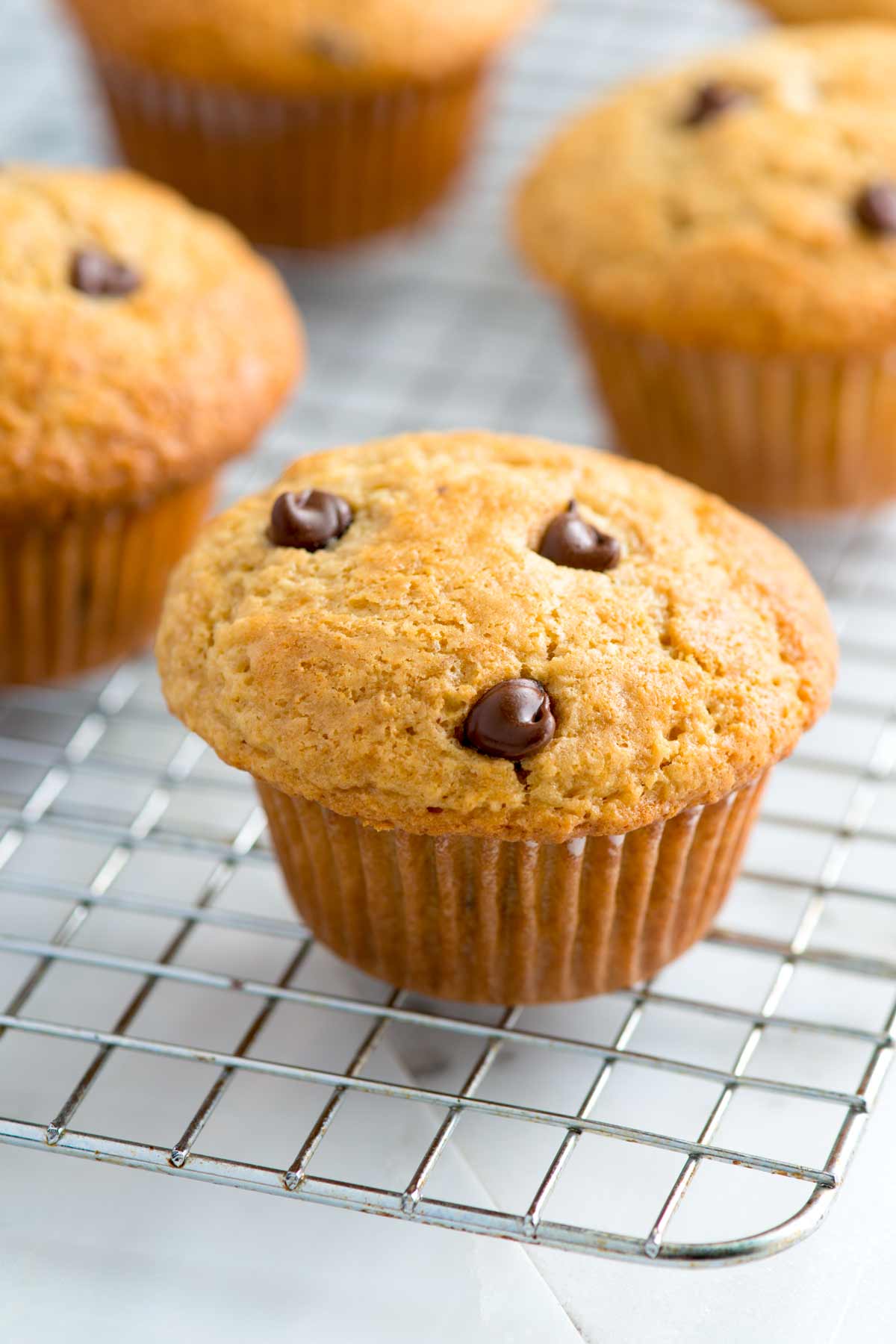 Easy Chocolate Chip Muffins Recipe