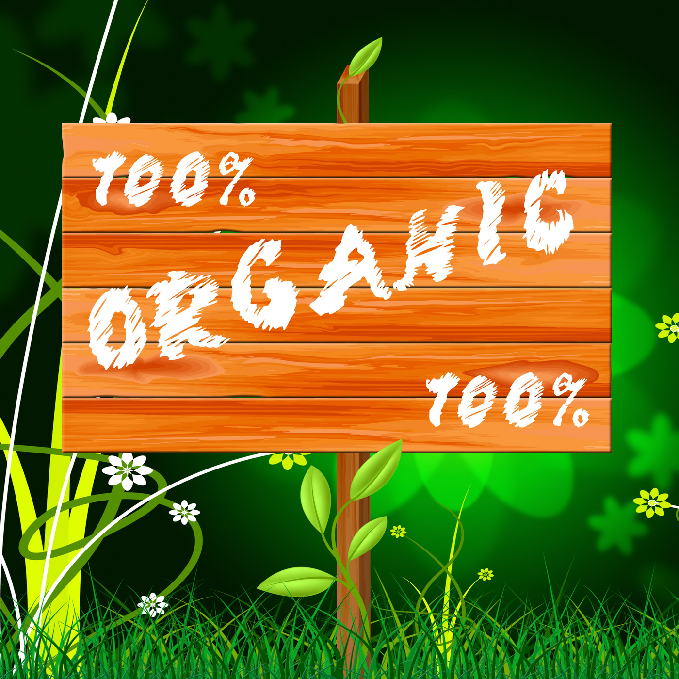 One Hundred Percent Means Organic Products And Completely, Absolute, Completely, Eco, Green, HQ Photo