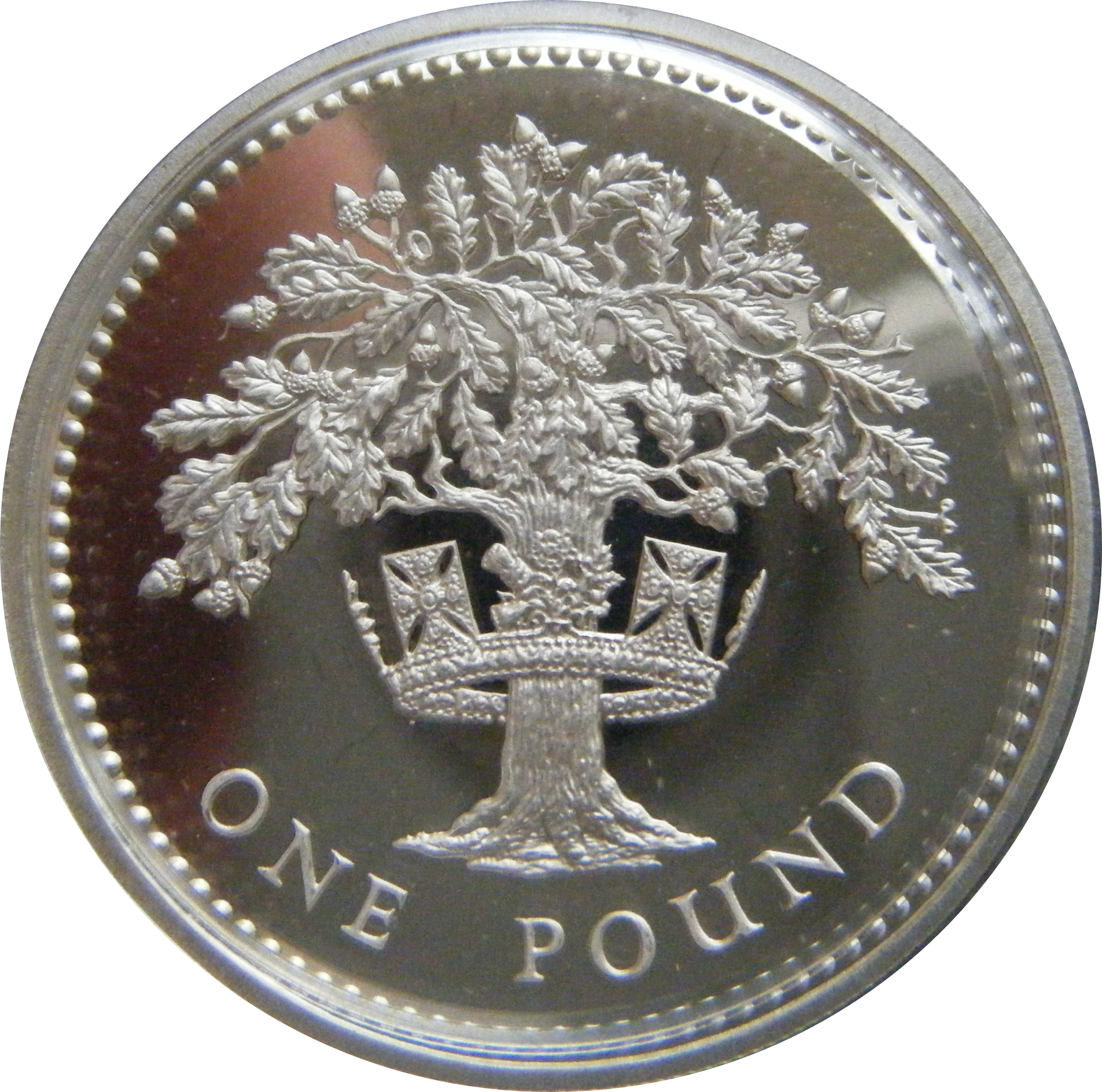 1 Pound - Elizabeth II (English Oak; Silver Proof) - United Kingdom ...