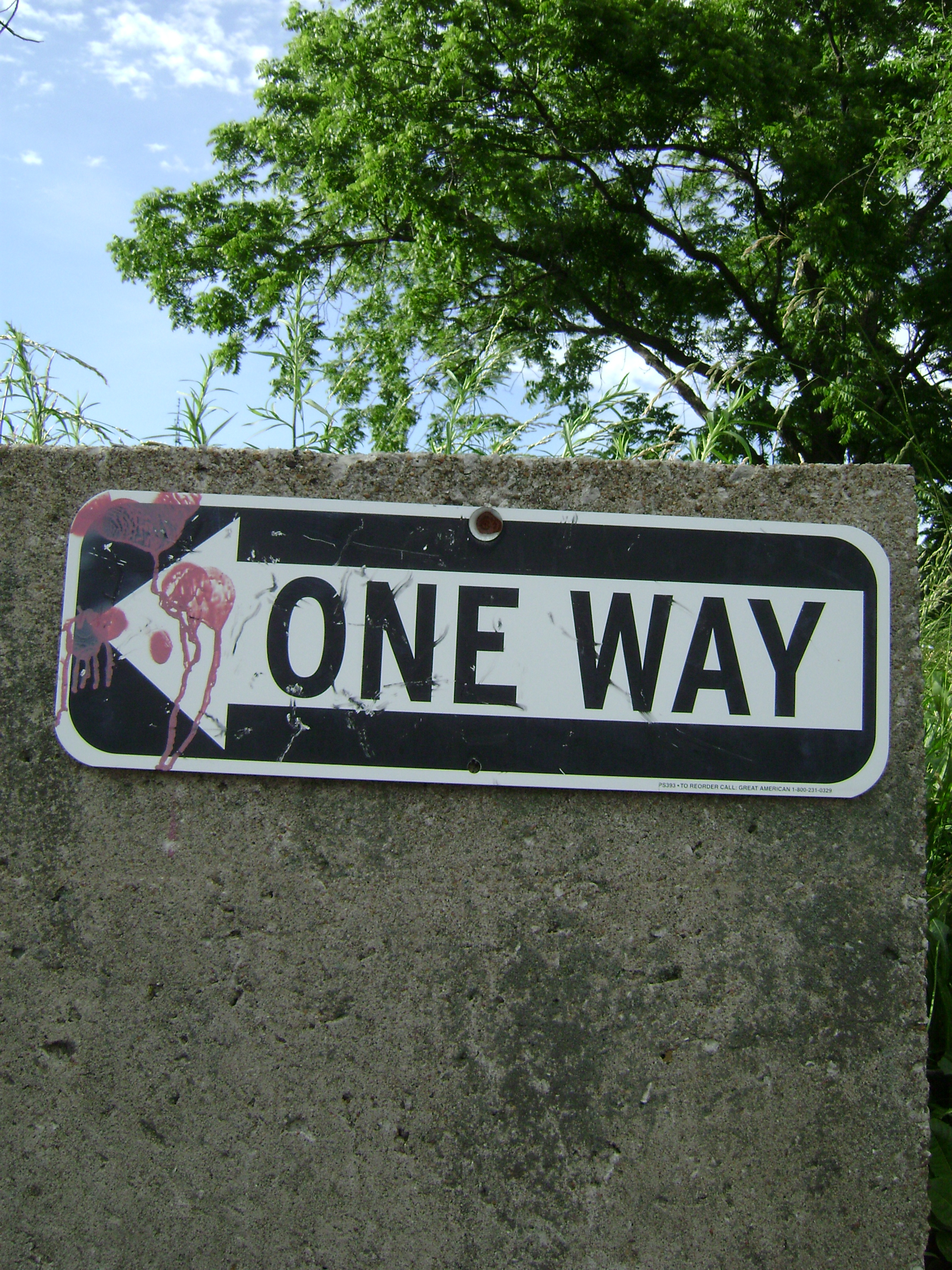 One way (with paintballs) photo
