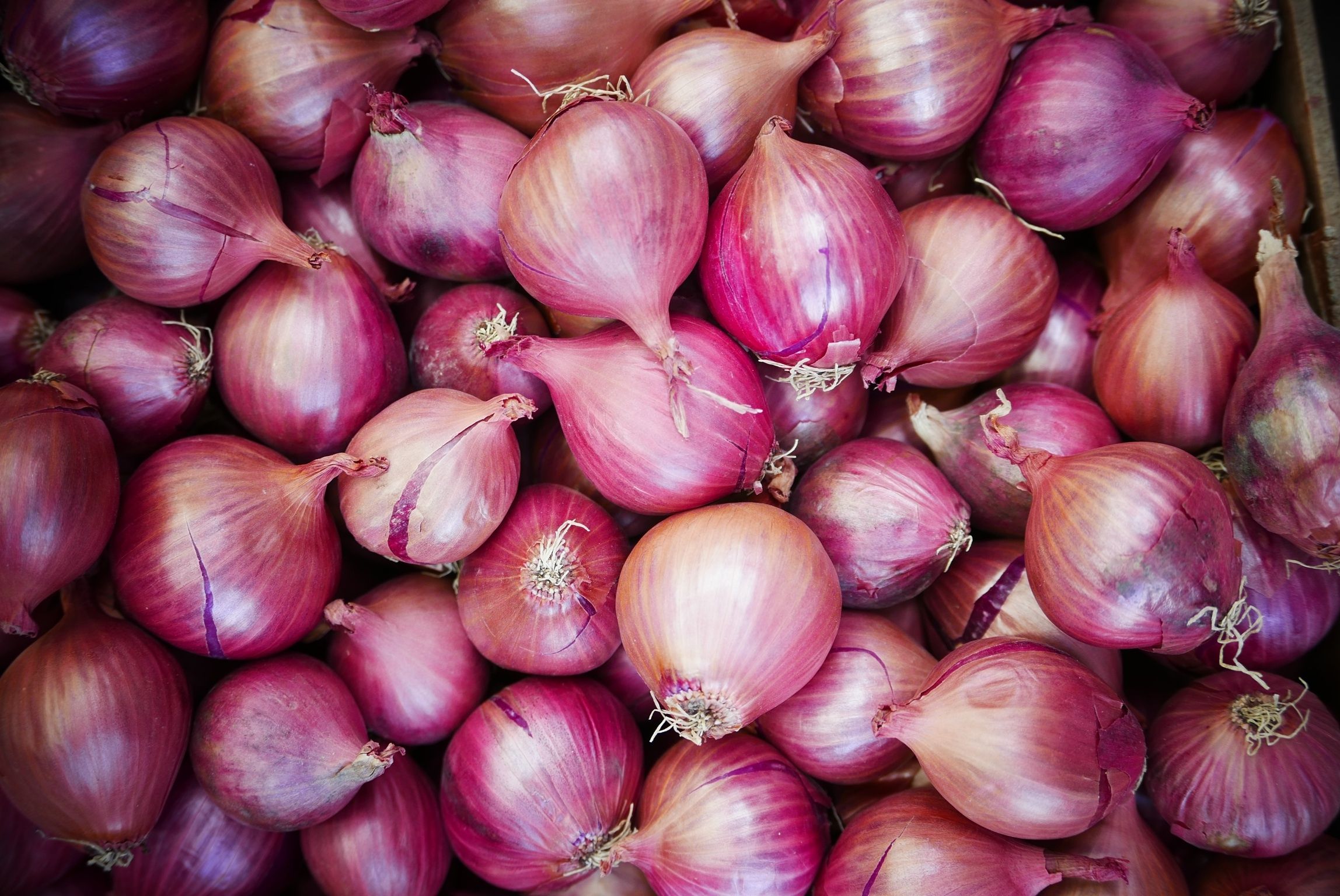 The Essential Onion in French Food Inspired a Key Idiom