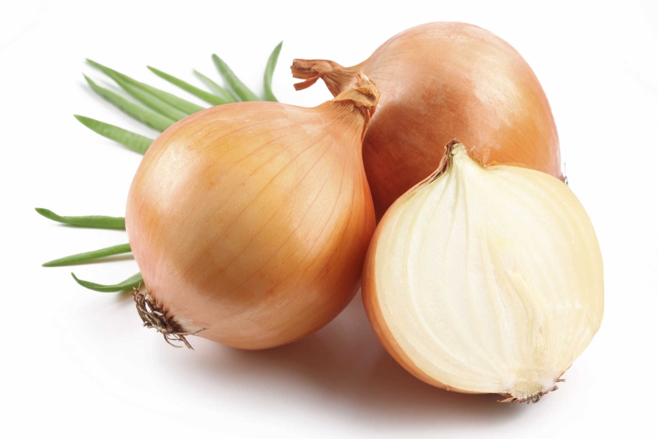 Annual Onion Eating Contest | Warwick NY & Vernon NJ Eats, Events ...