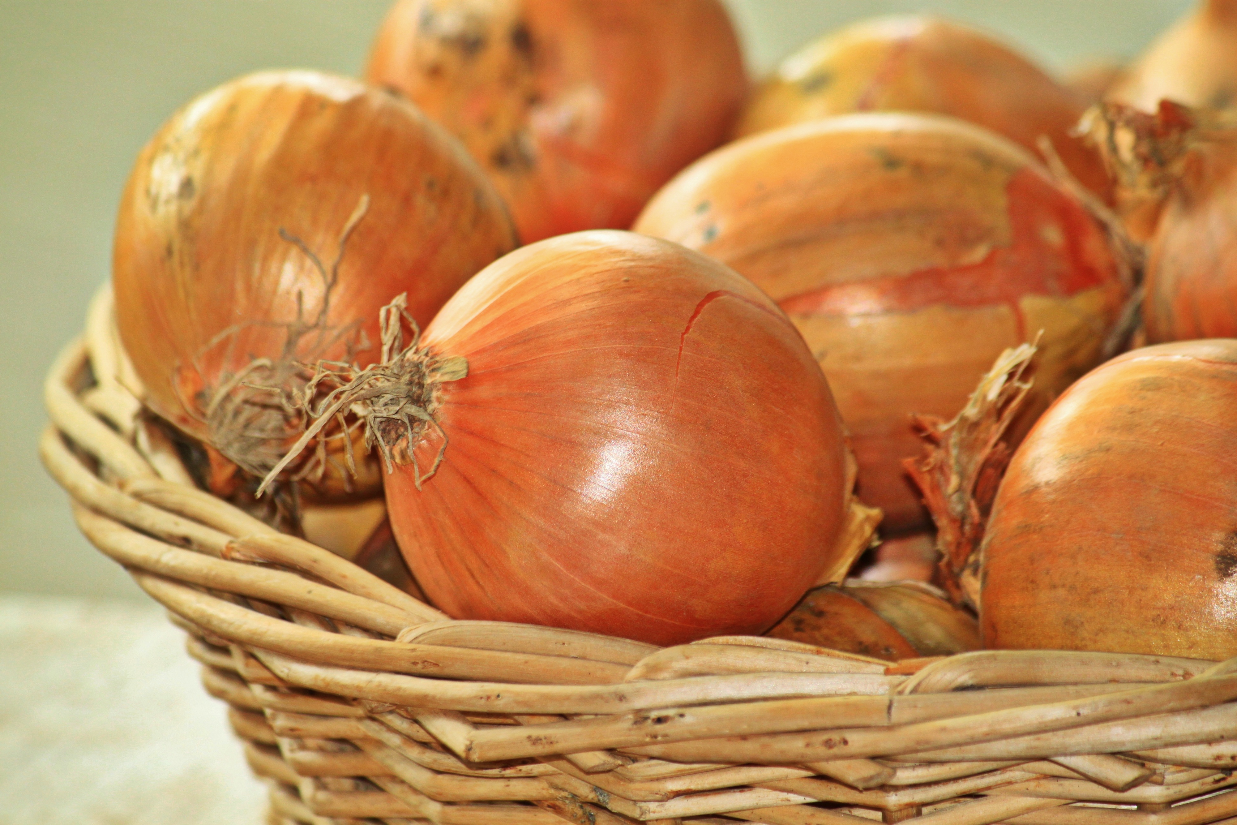 Onion, Food, Health, Healthy, Nature, HQ Photo