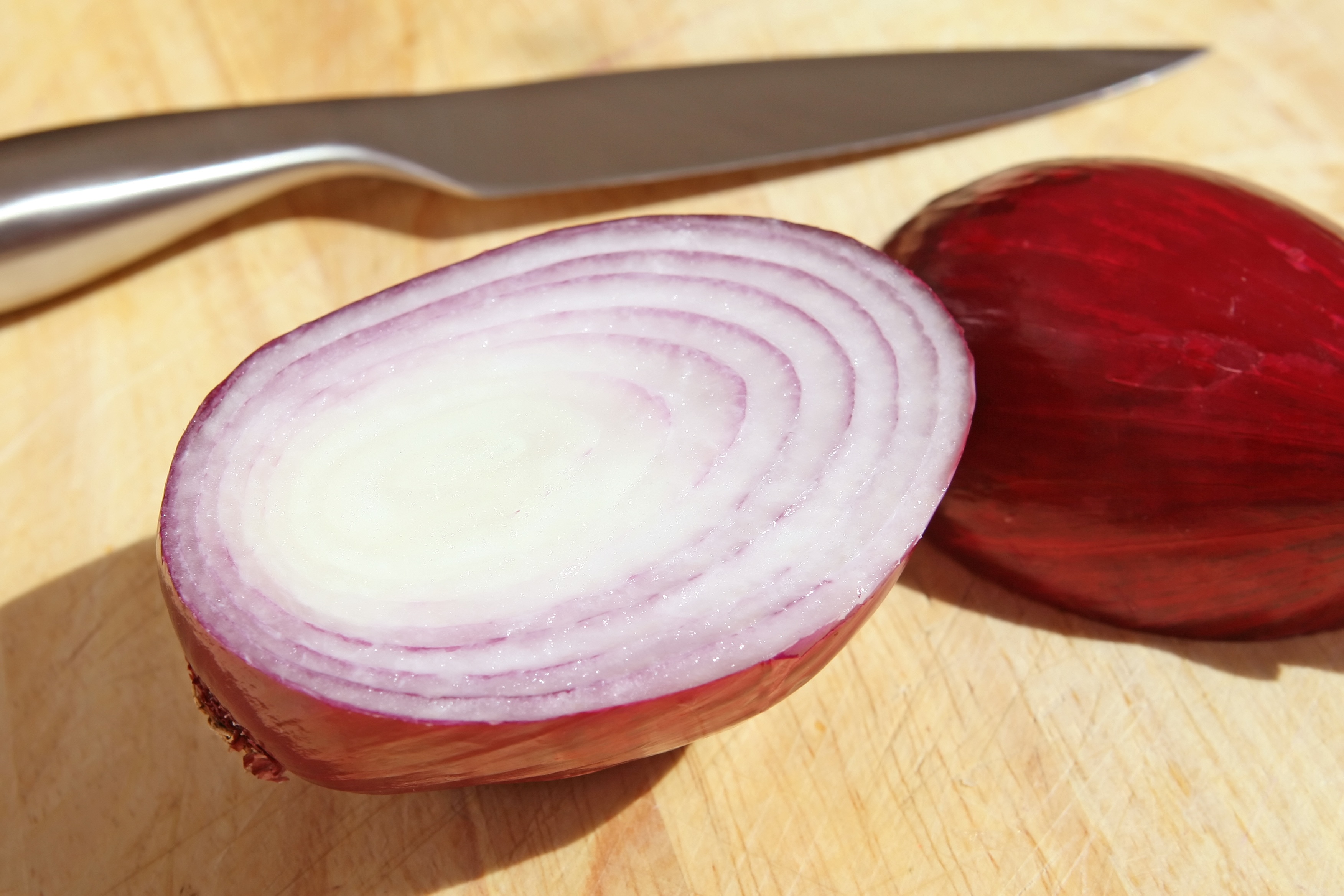 Onion photo