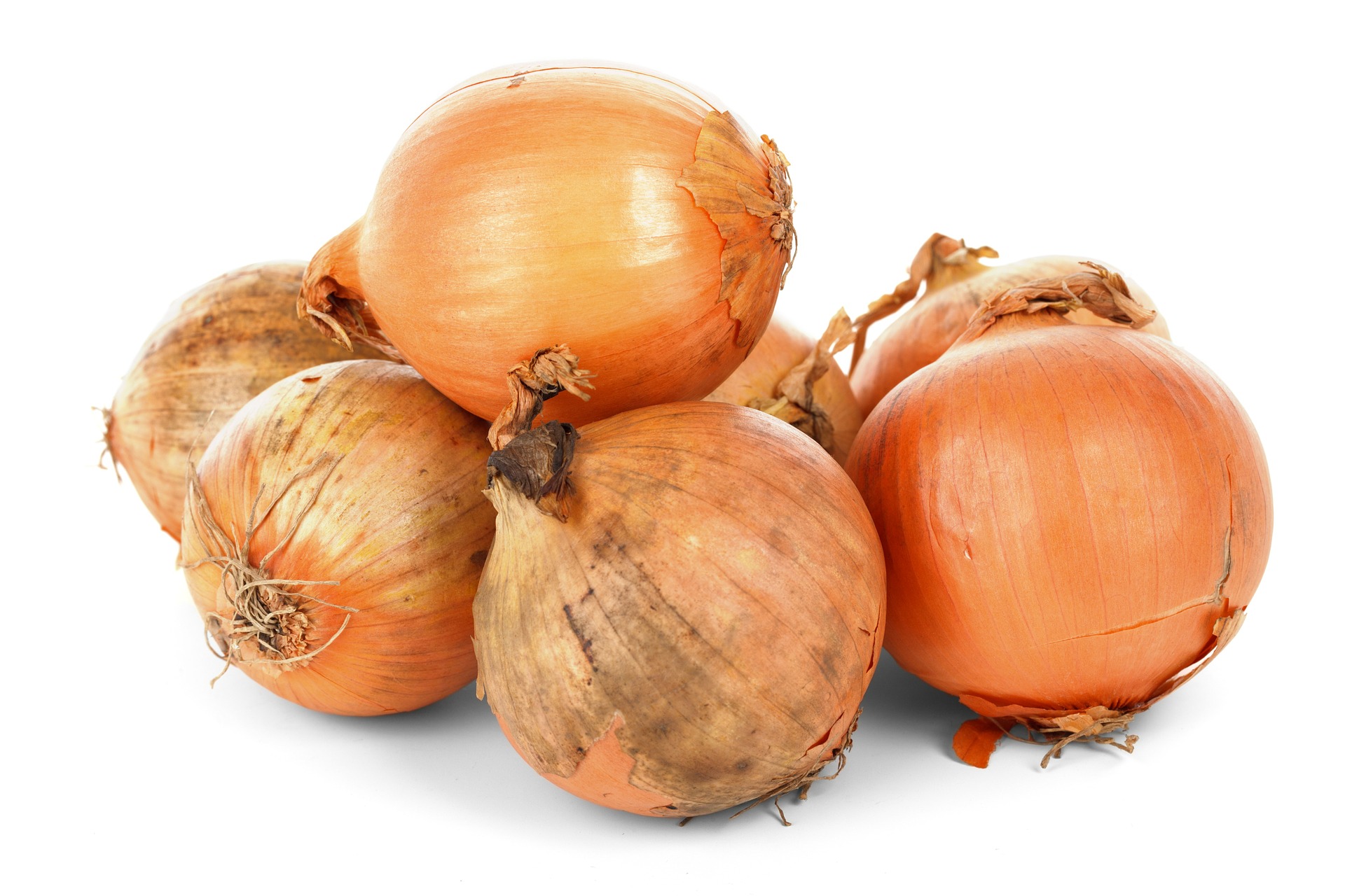 Onion bulbs photo