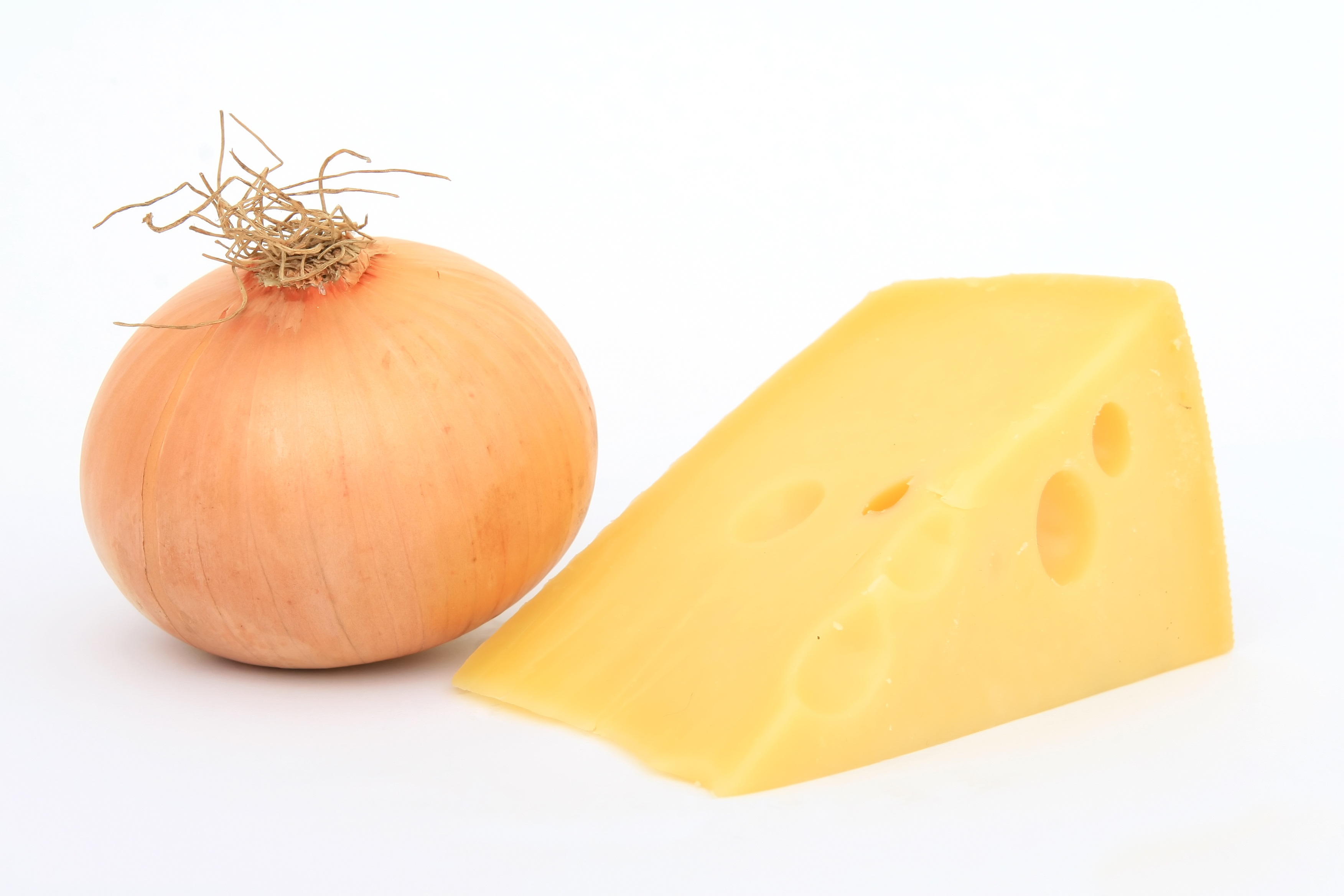 Onion n cheese photo