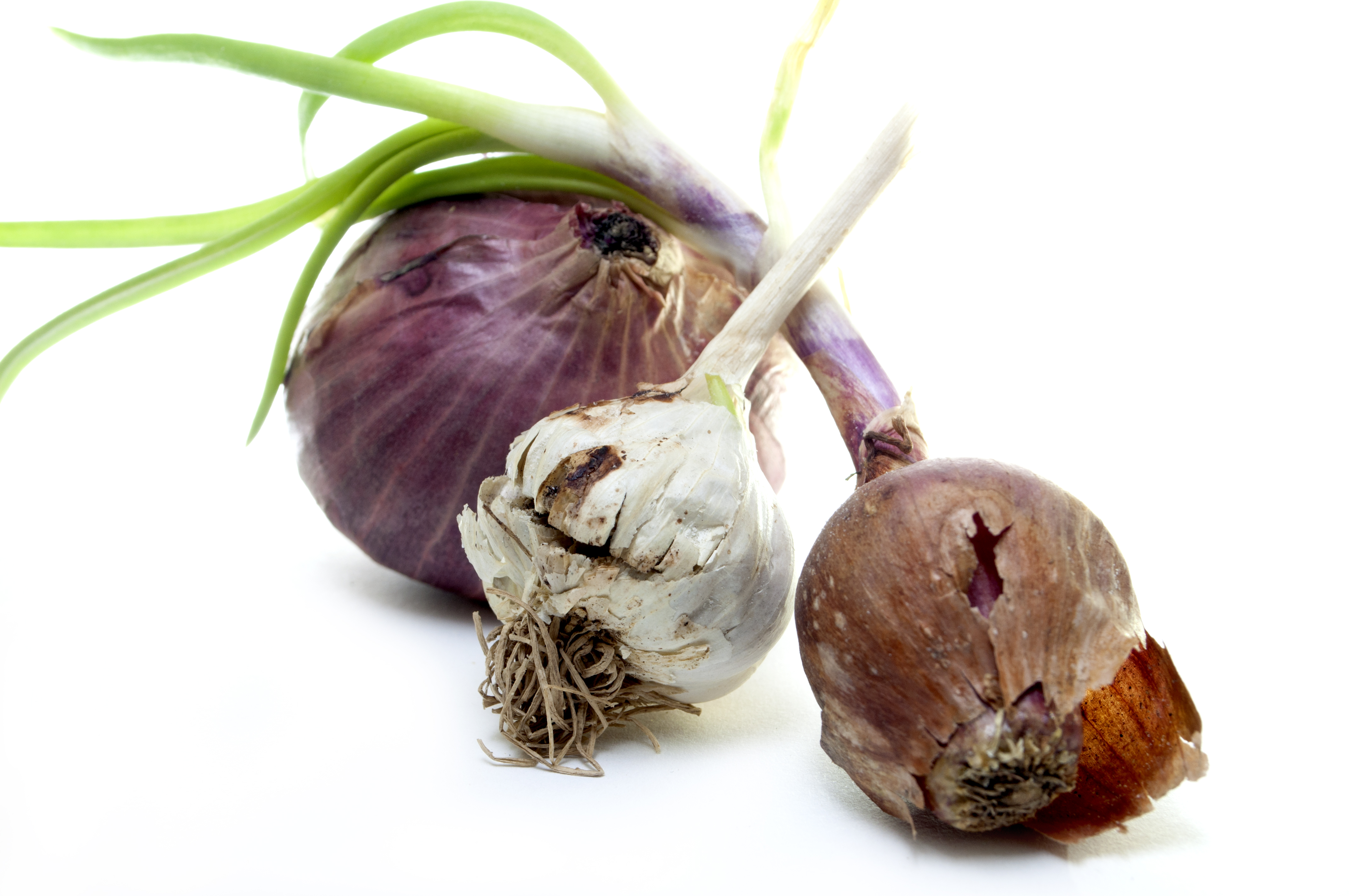 Onions & garlic photo