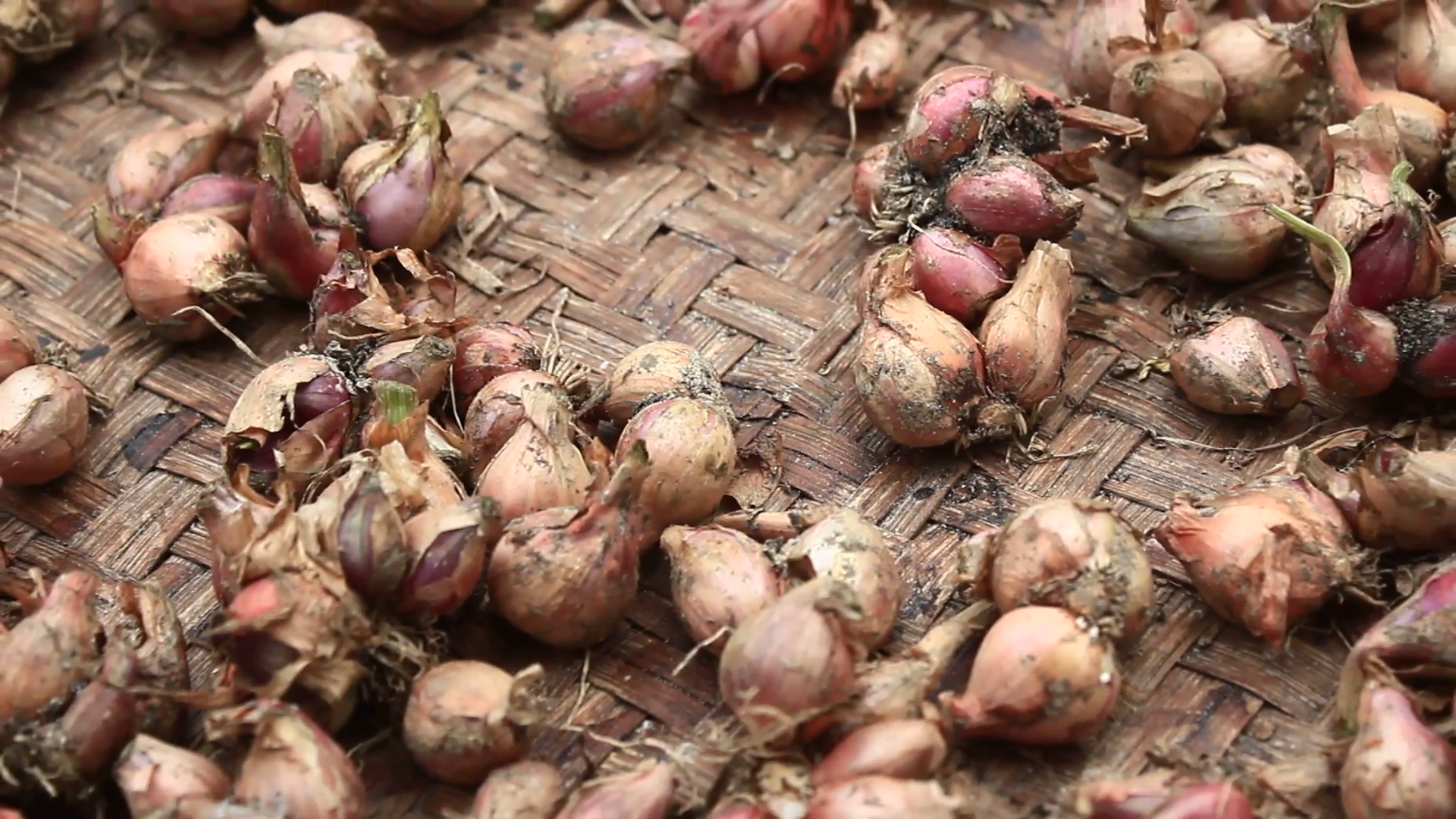 dry onions on basket Stock Video Footage - VideoBlocks