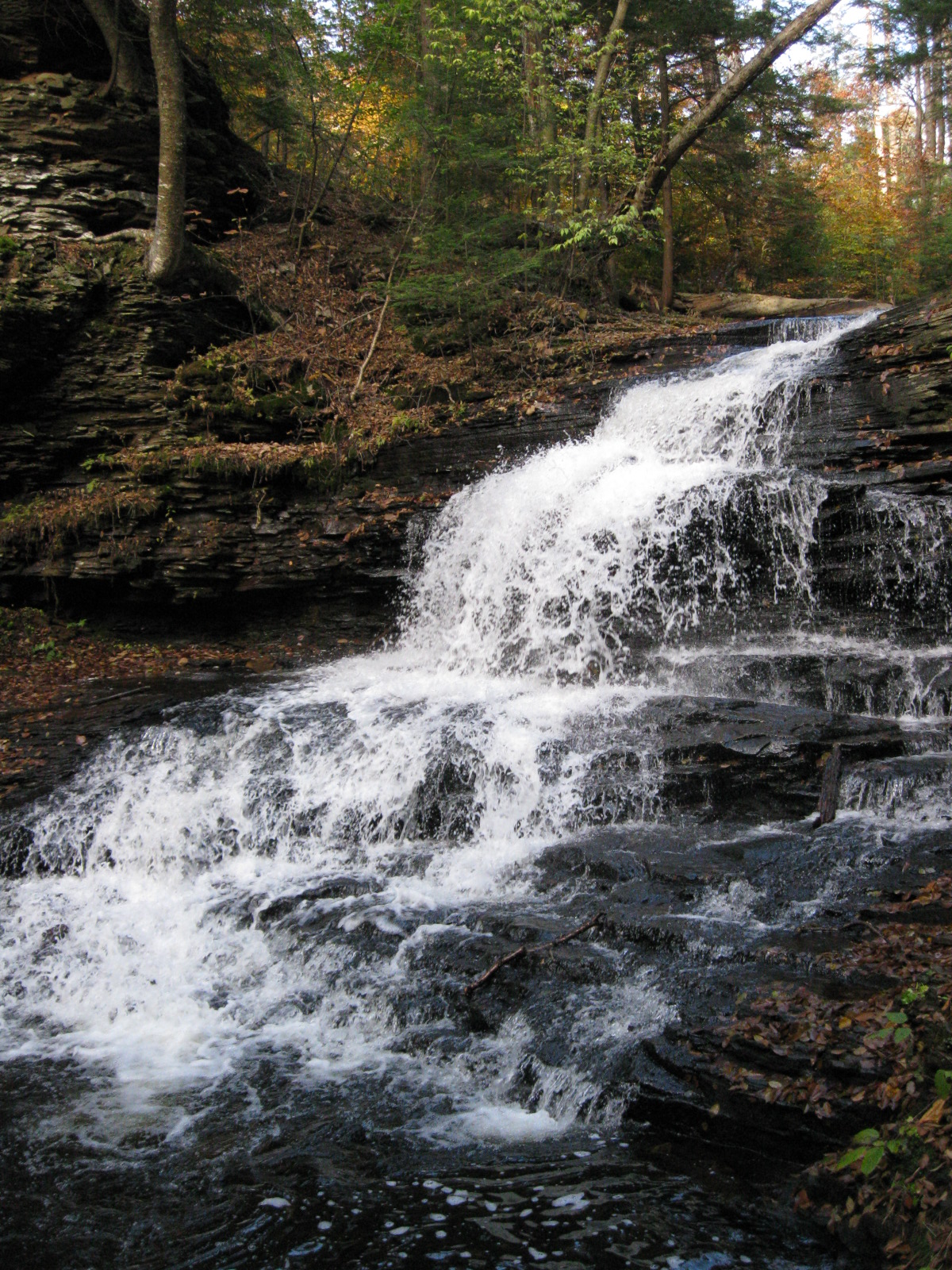File:Ricketts Glen State Park Onondaga Falls 6.jpg - Wikimedia Commons