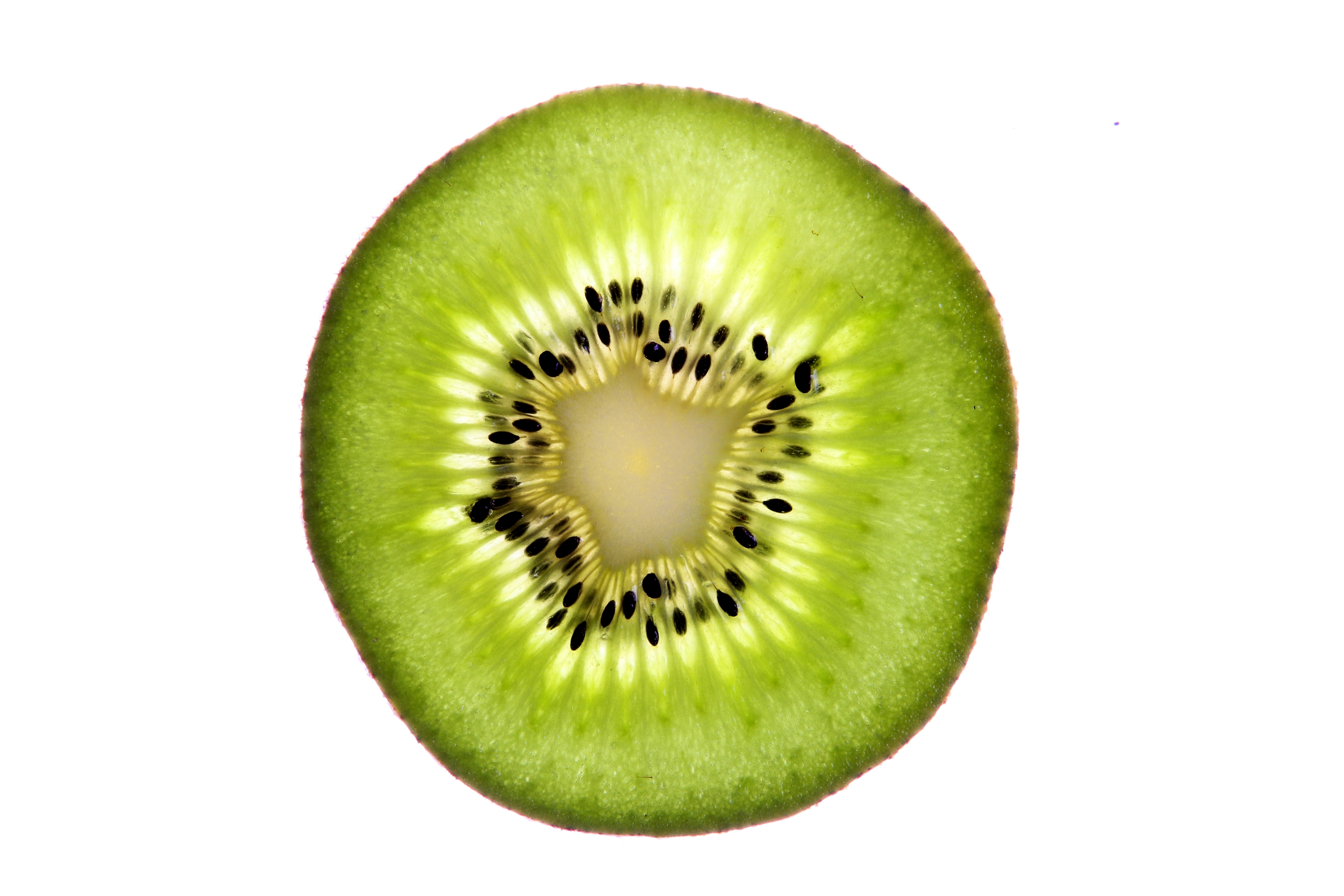 File:Kiwi been cut.jpg - Wikimedia Commons