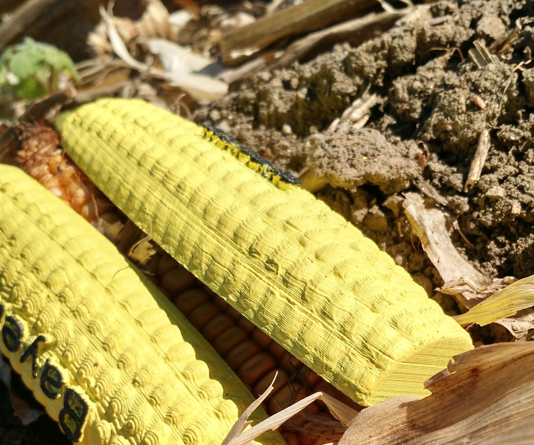 How to Make and Print a 3D Corn Cob With Spikes