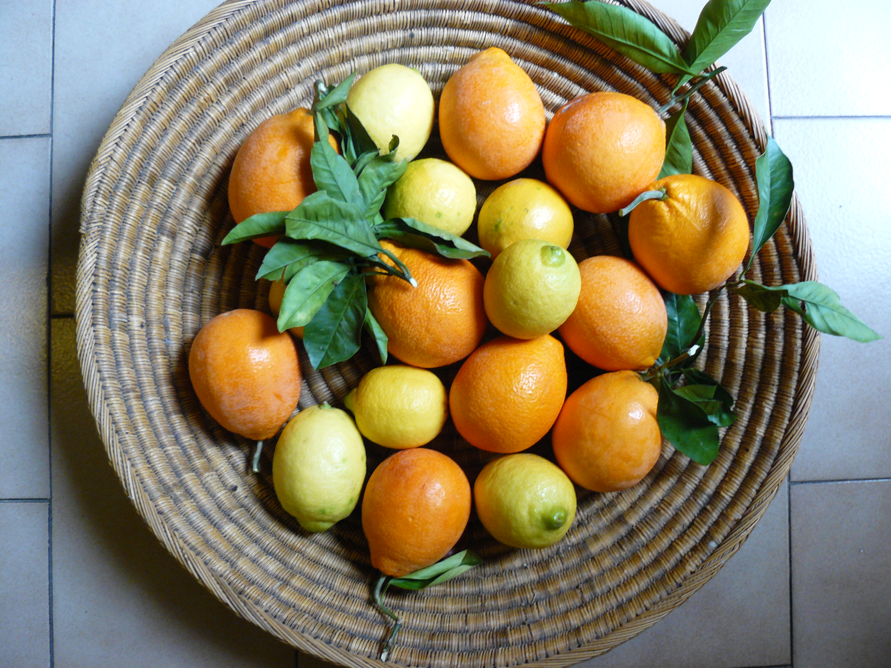 Oranges and a lemon lunch | rachel eats