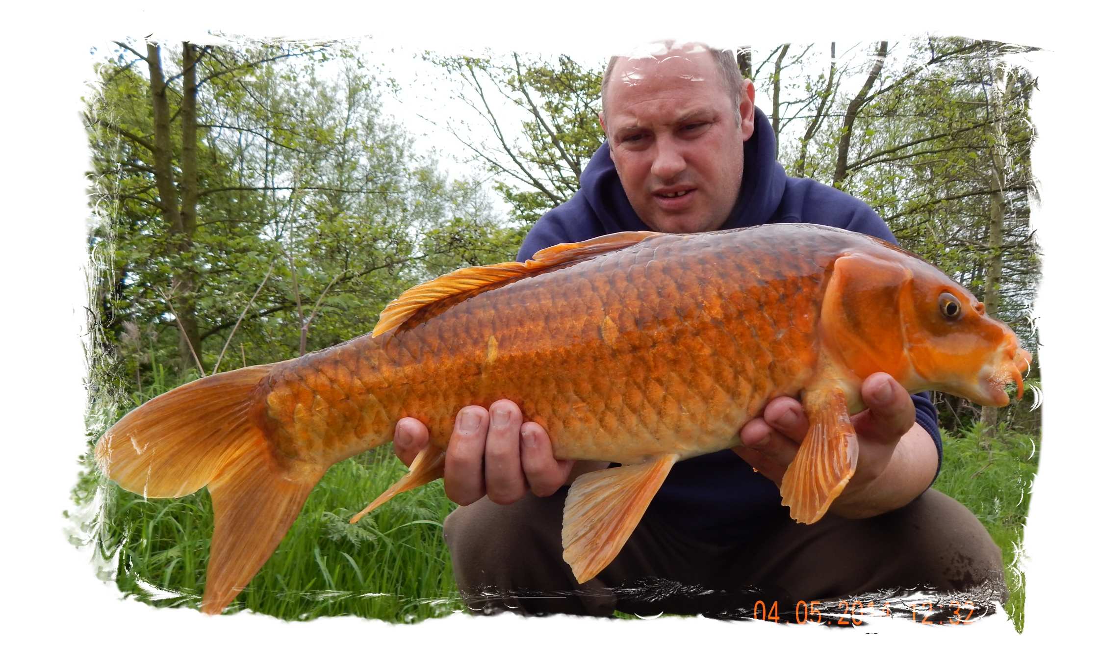 Tetley Angling - Gallery - Cheshire's Leading Specimen water and ...