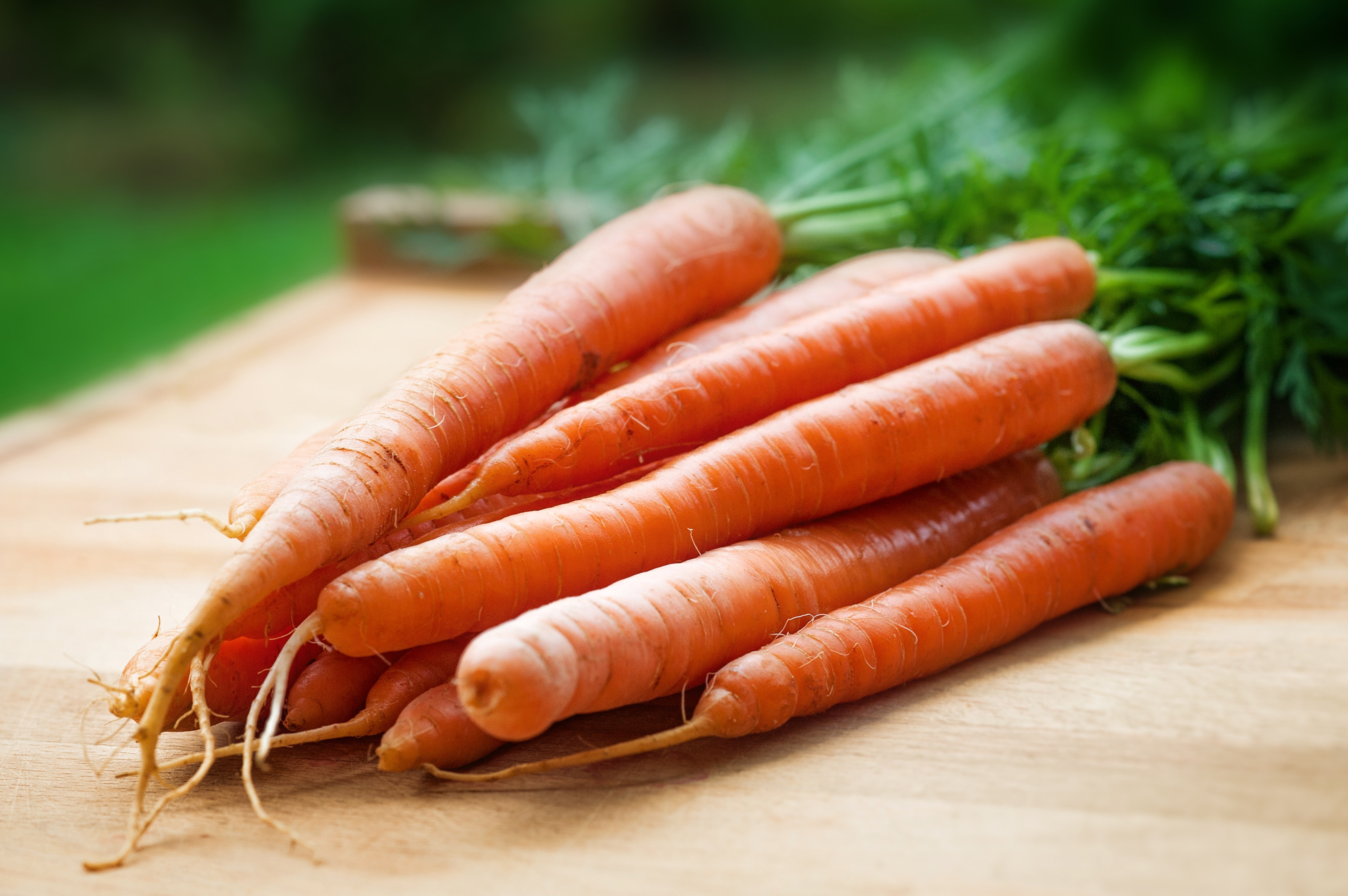 Orange Carrots on Table, Agriculture, Leaf, Vegetarian, Vegetable, HQ Photo