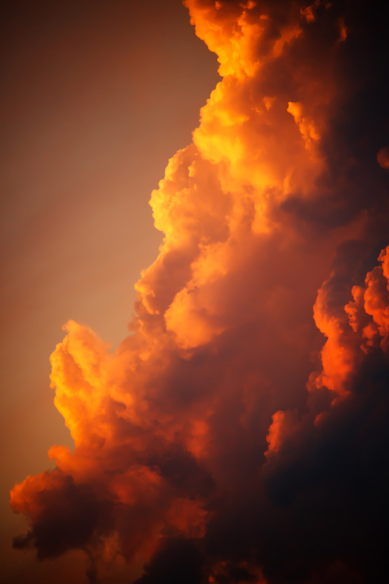 Orange Clouds At Sunset Free Stock Photo - Public Domain Pictures