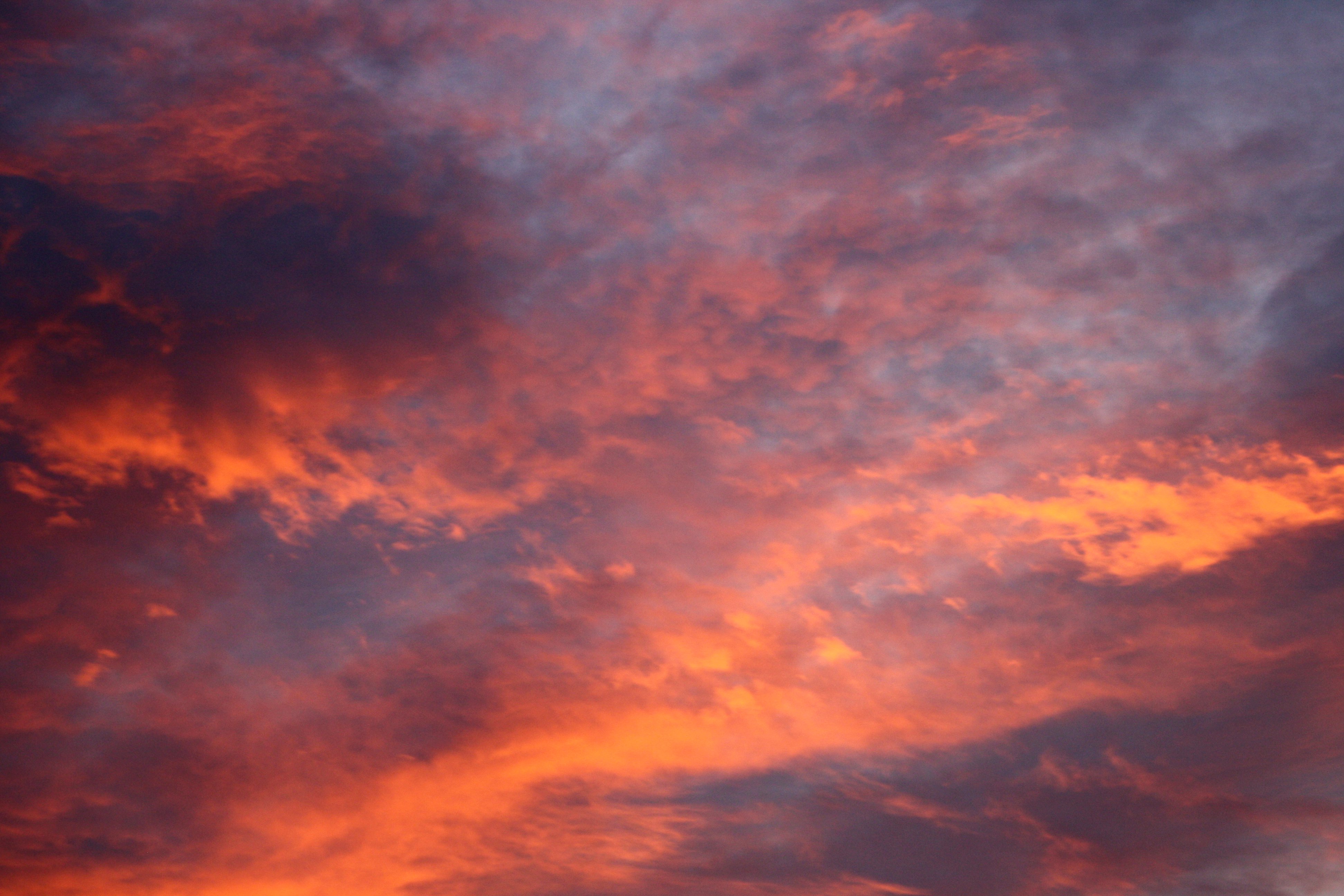 Orange Clouds at Sunrise Picture | Free Photograph | Photos Public ...