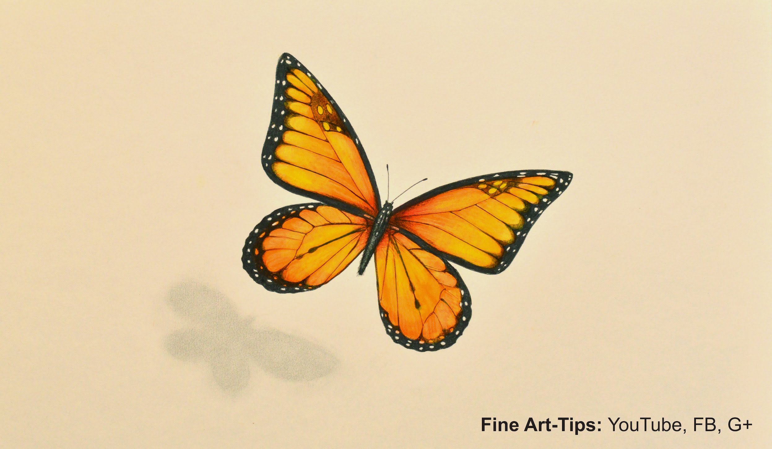 How to Draw a Monarch Butterfly With Markers and Color Pencils - YouTube