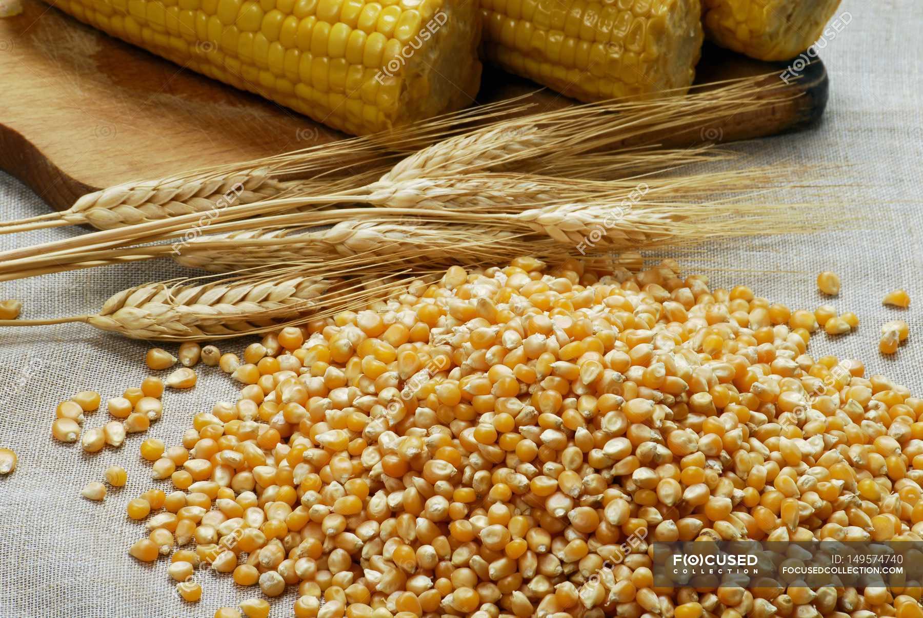 Corn kernels and cereal ears — Stock Photo | #149574740